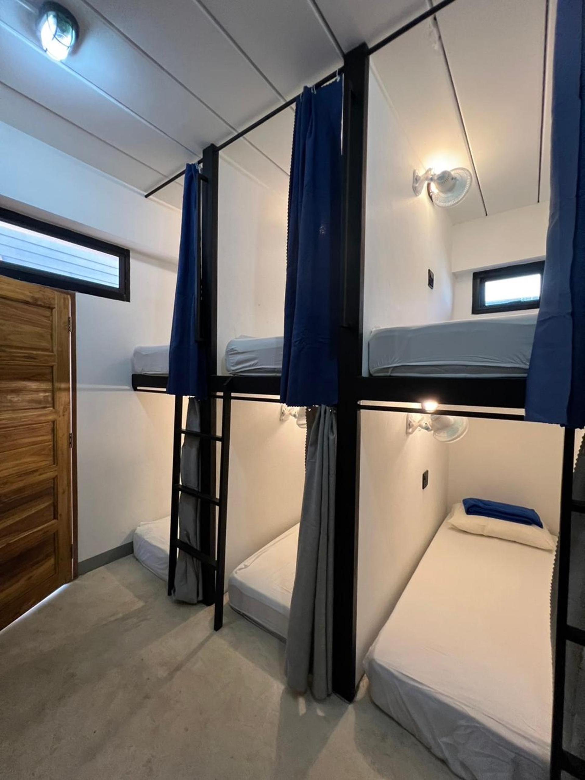 Bed in 8-Bed Mixed Dormitory Room
