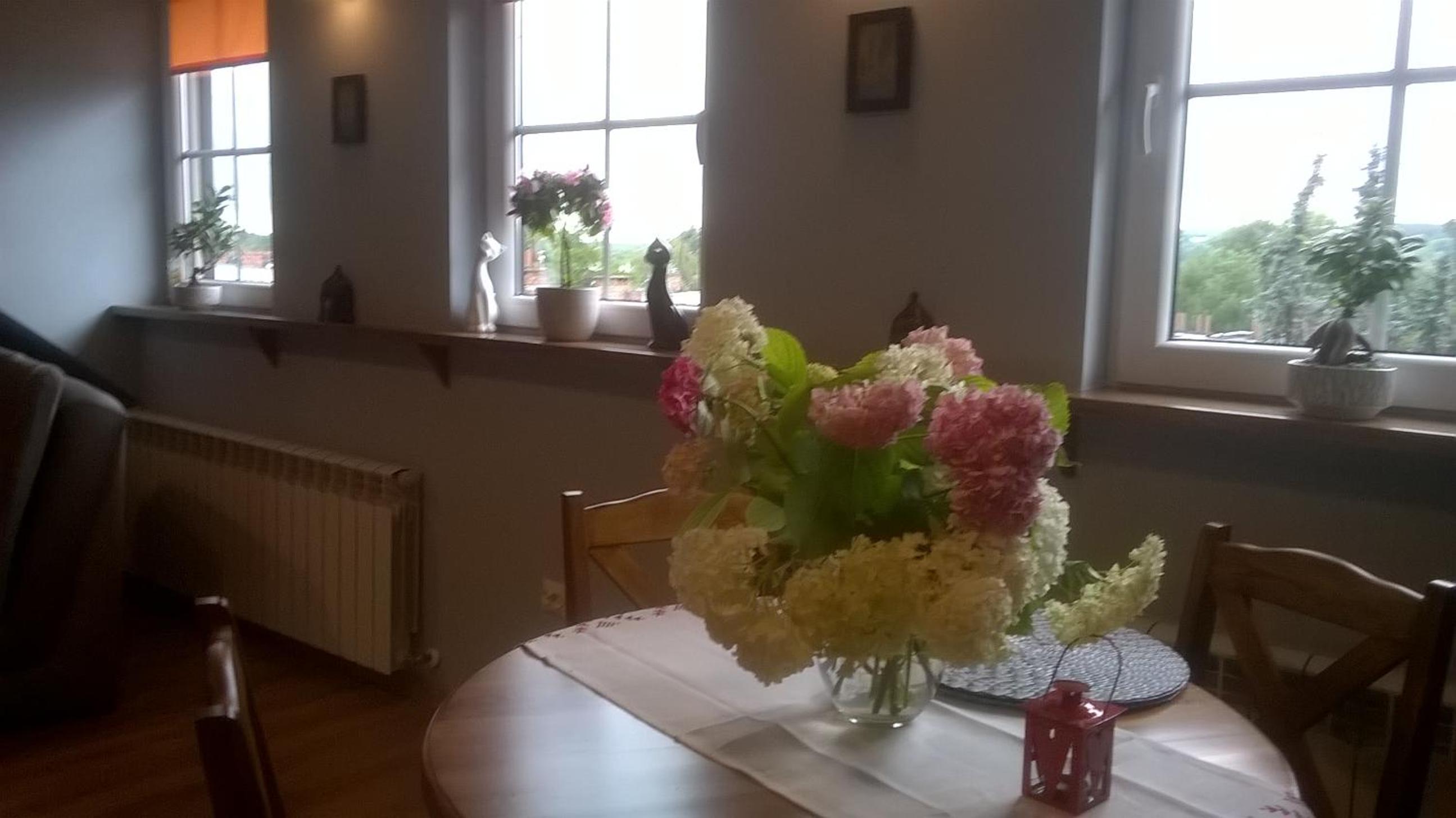 Studio Apartment - Photo 13