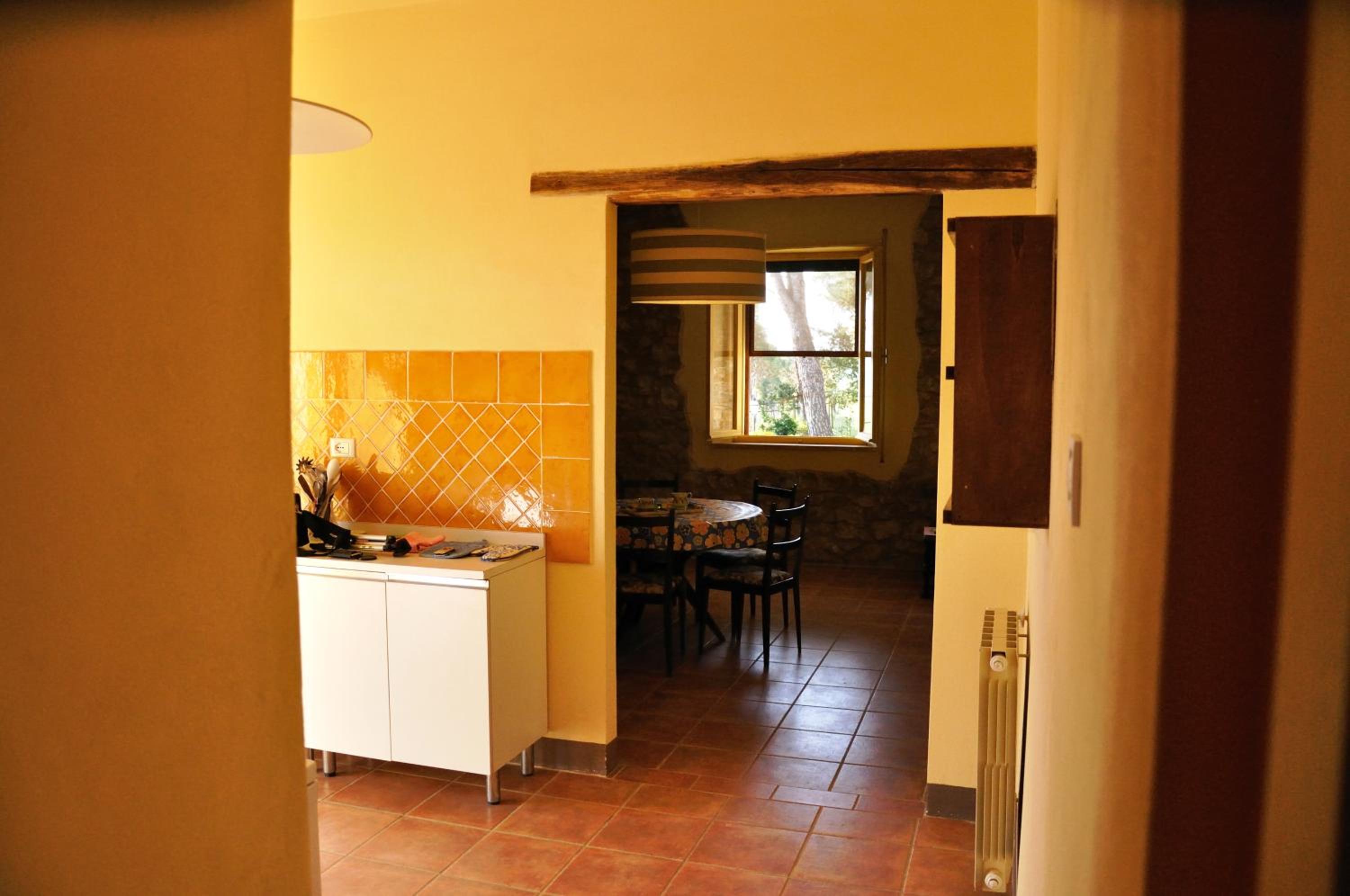 One-Bedroom Apartment photo 3