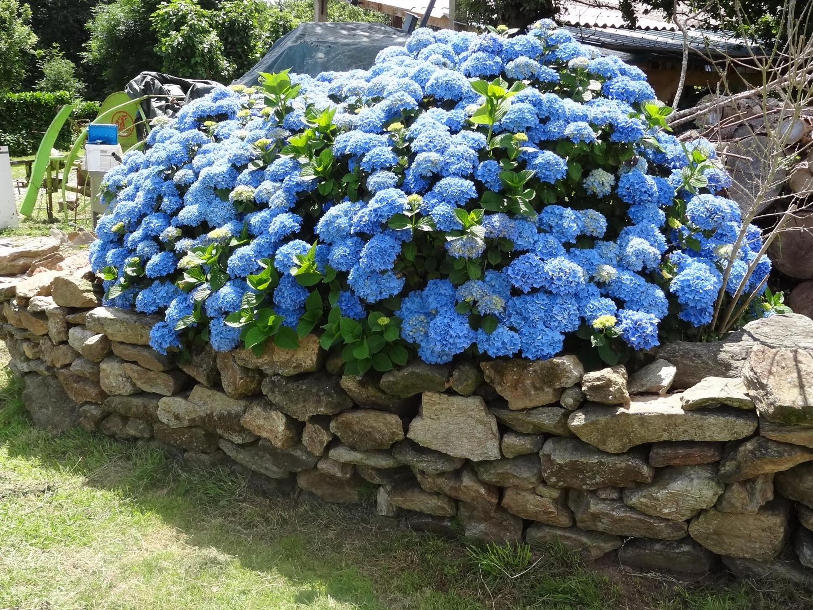 Holiday Home - Photo 8