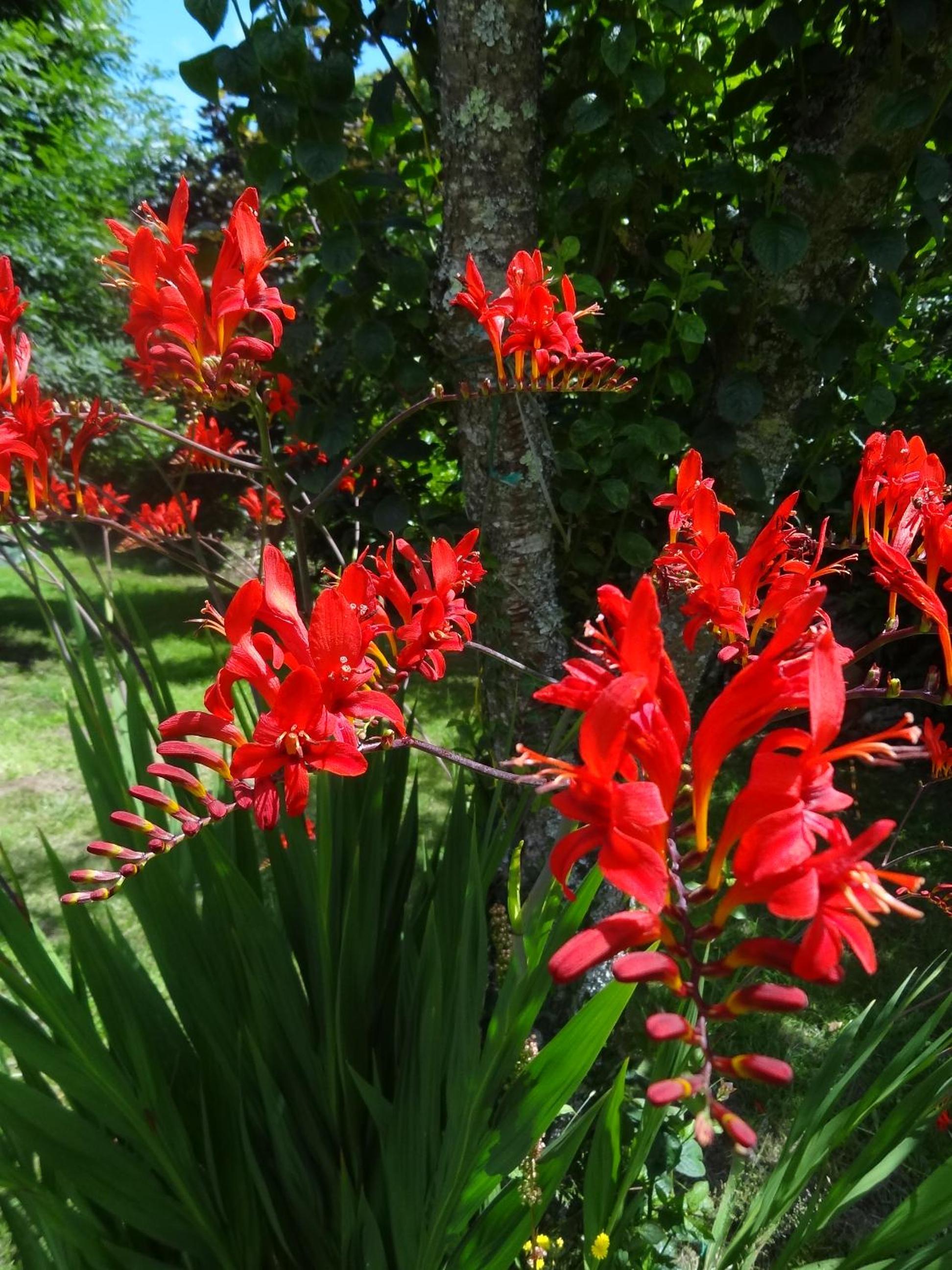 Holiday Home - Photo 12