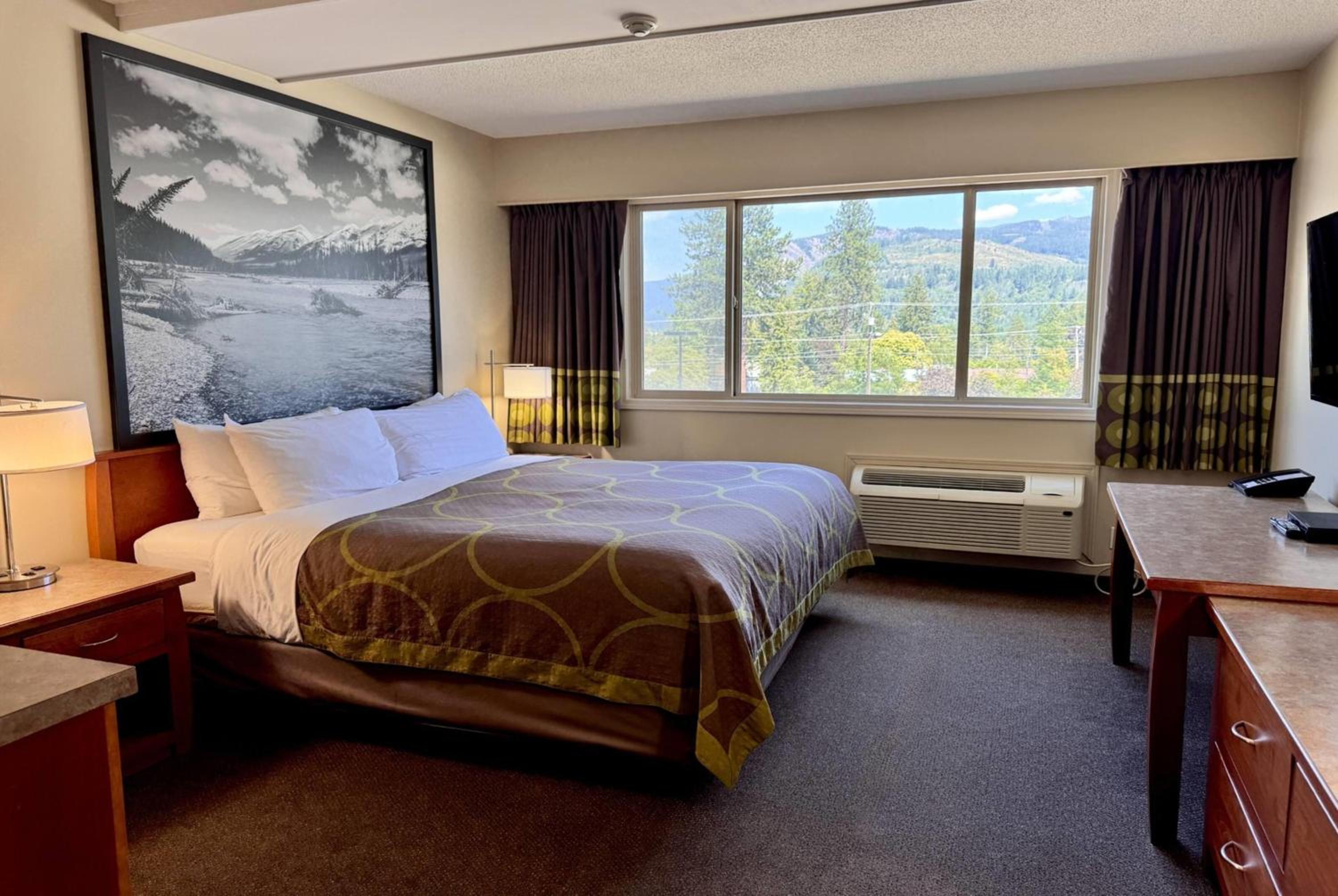 King Room - Pet Friendly