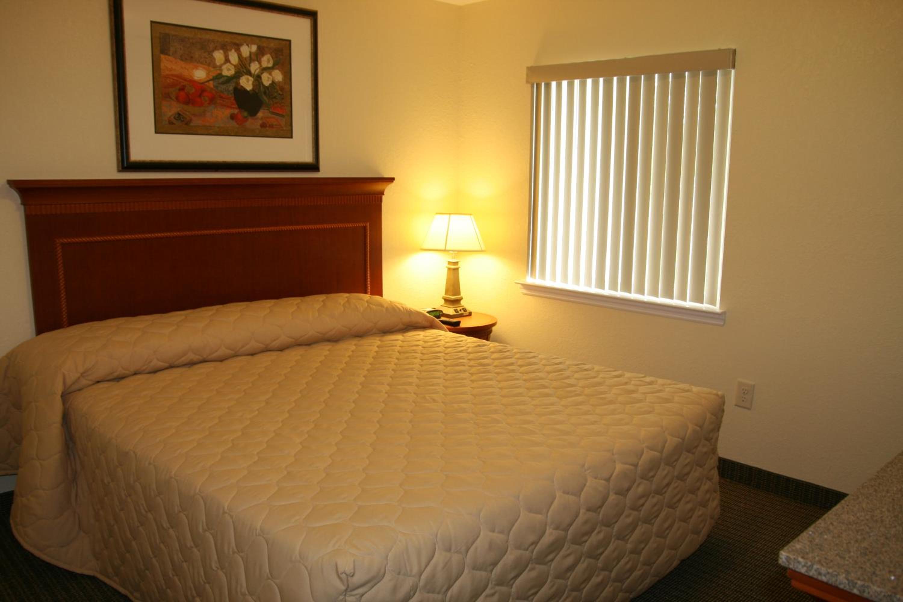 Special Offer - One-Bedroom Suite - Photo 3