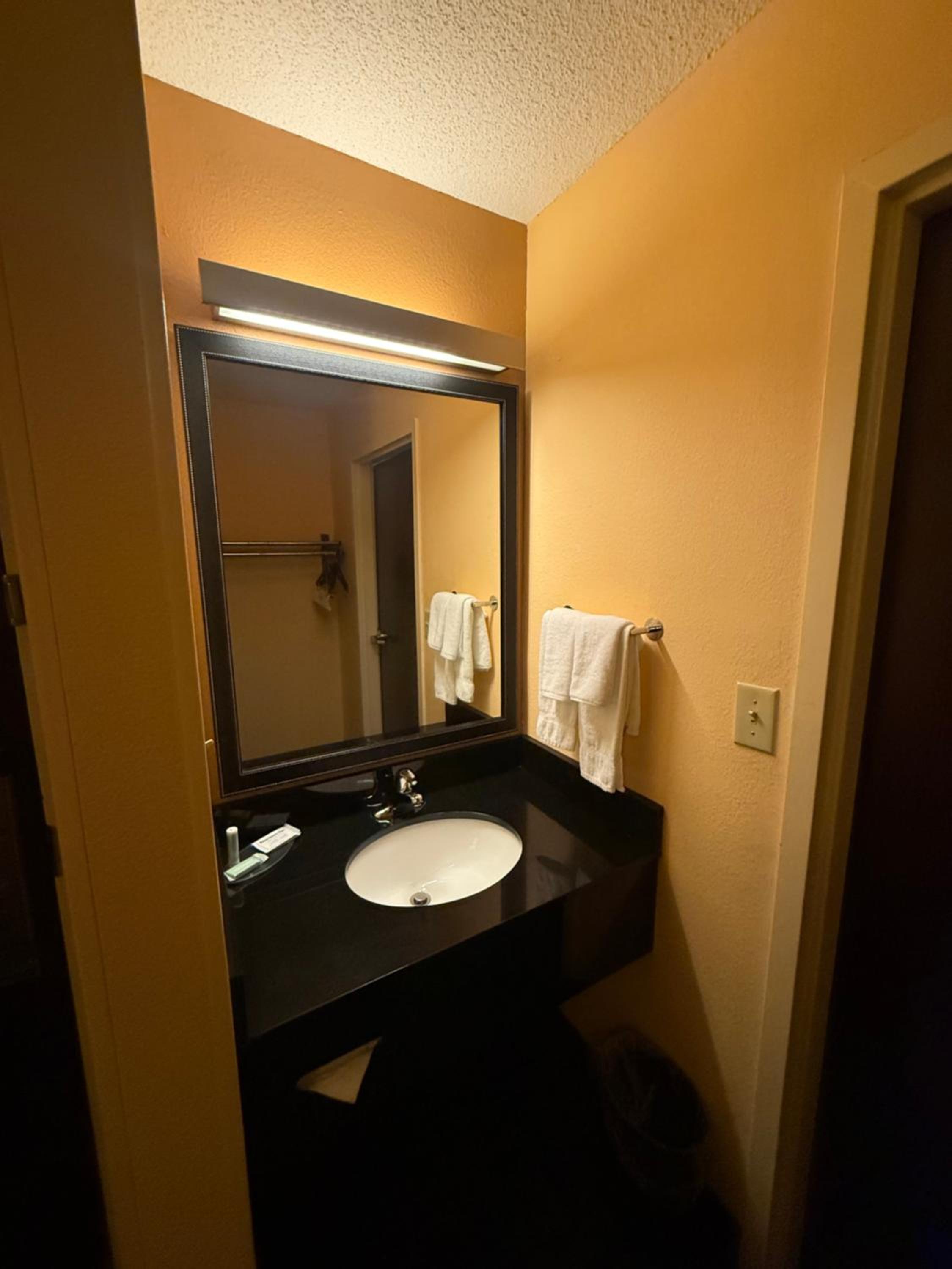 King Room with Transfer Shower - Mobility and Hearing Accessible - Photo 3
