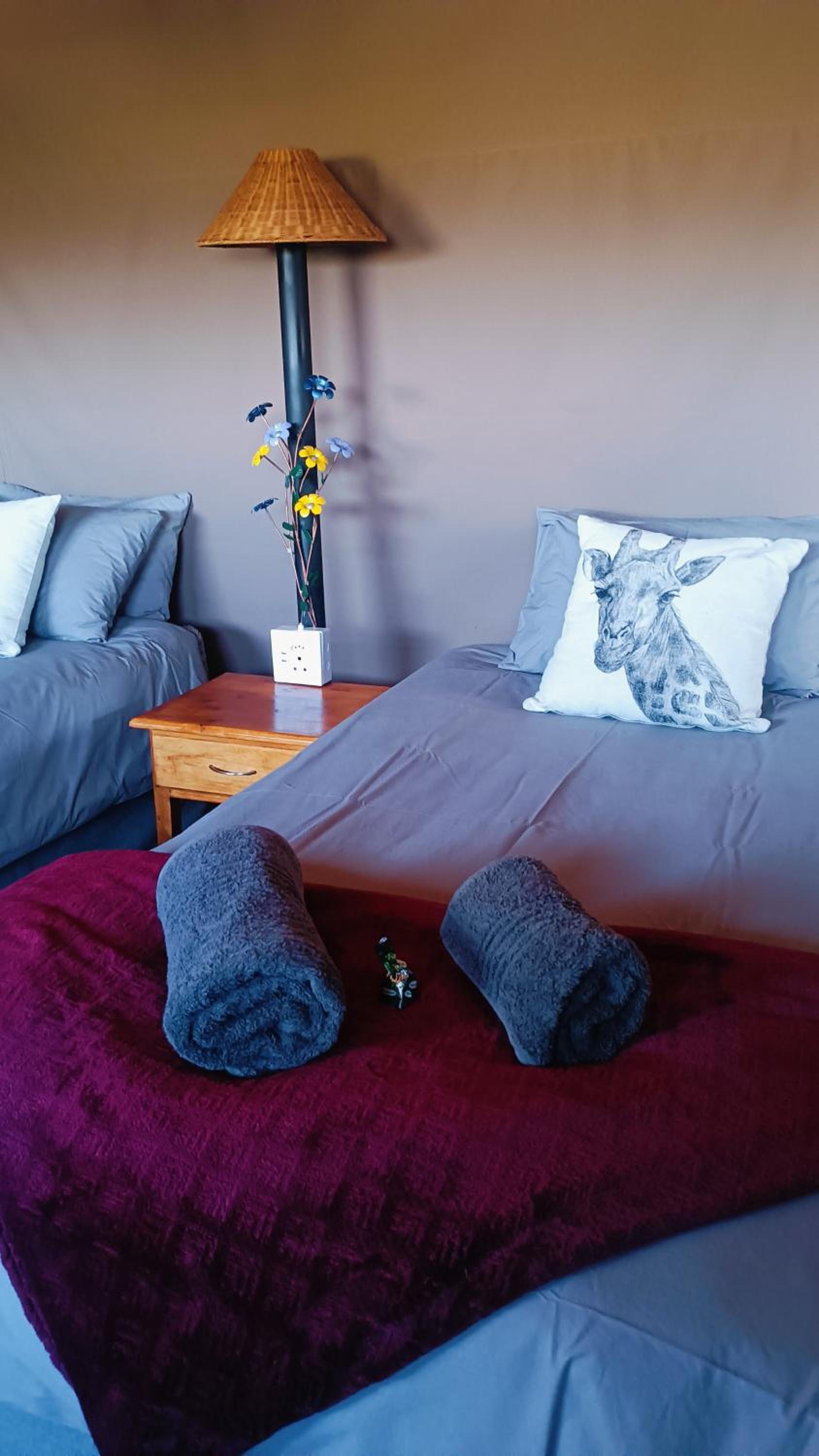 Tent photo 3