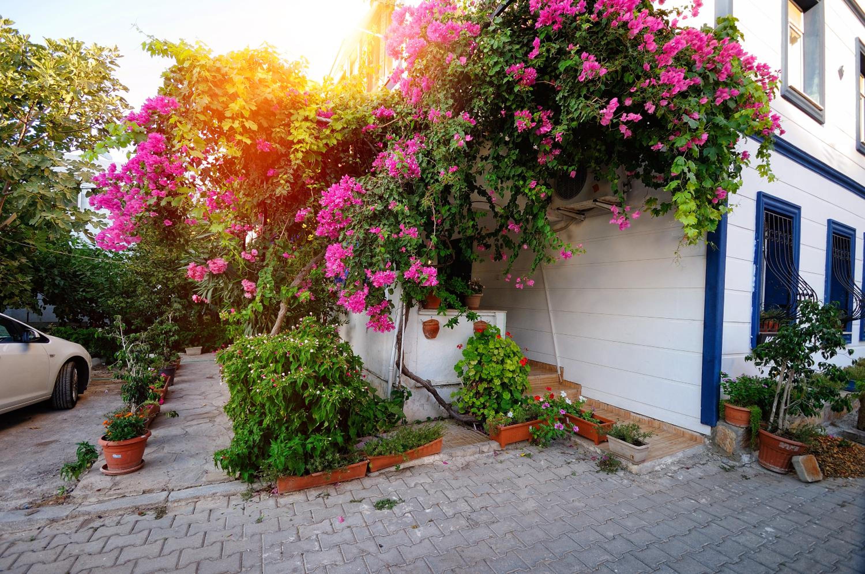 Apartment with Garden View - Photo 10