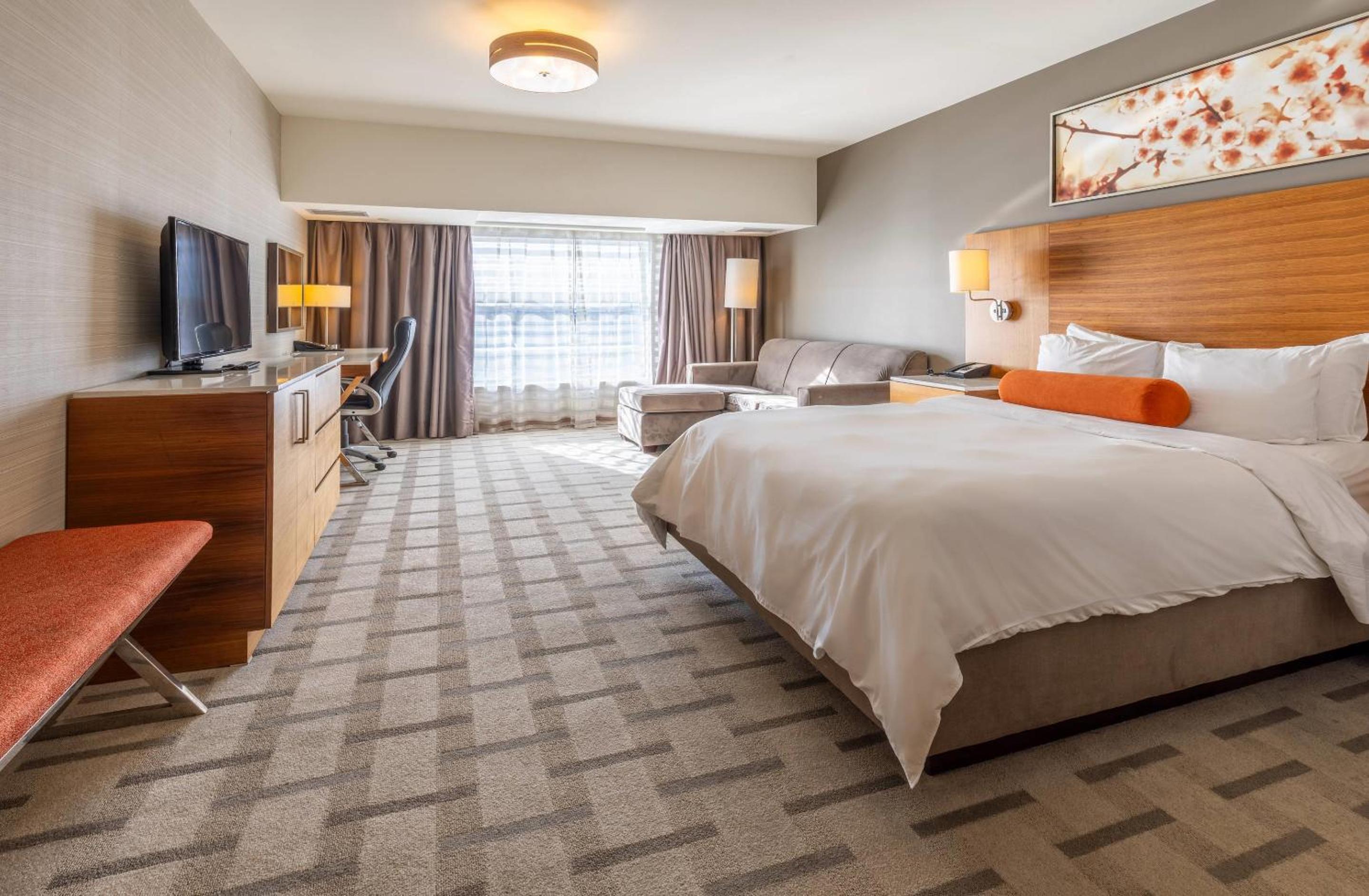 Queen Room with Roll-In Shower - Disability Access/Non Smoking