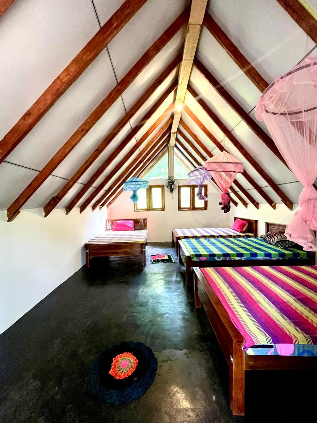 4-Bed Mixed Dormitory Room photo 1