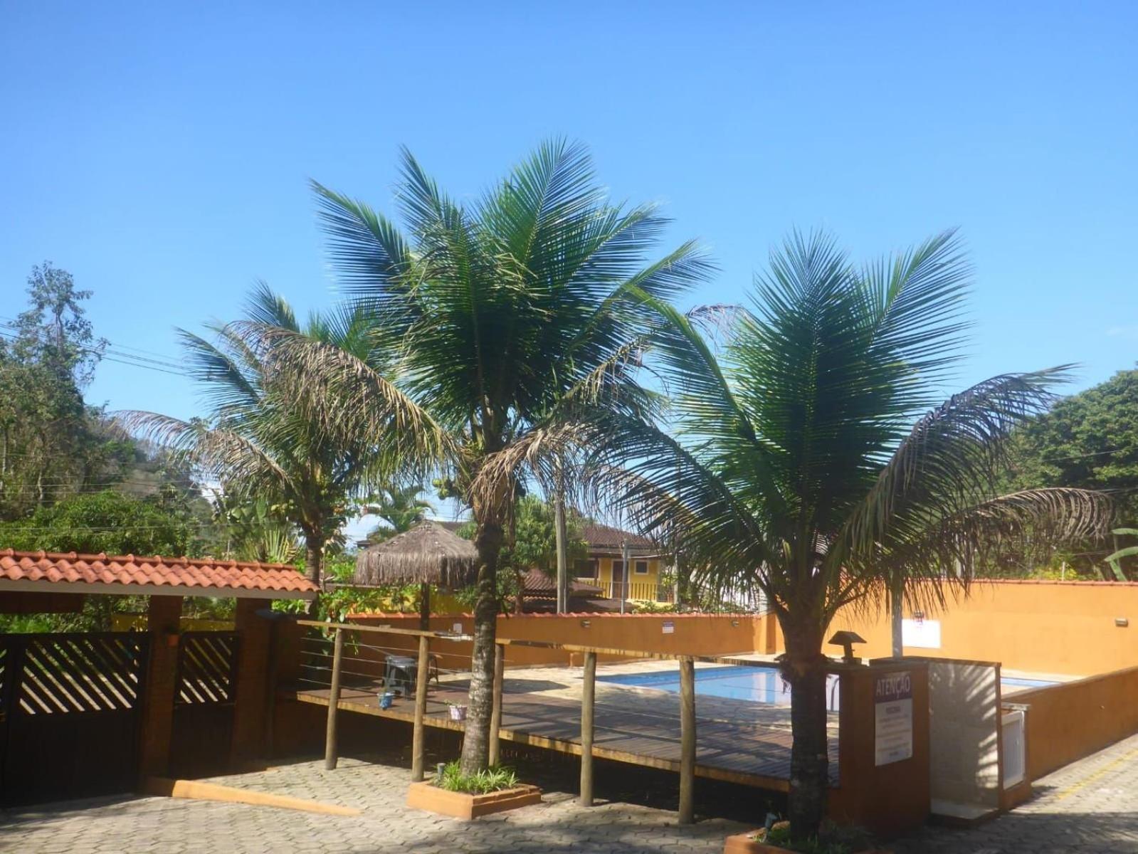 Master Chalet photo 1