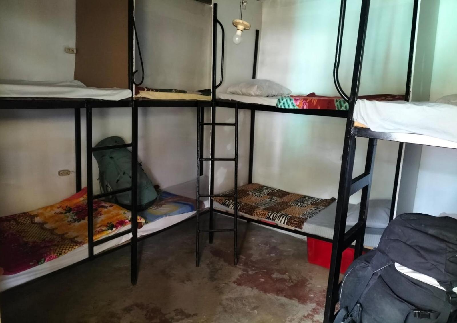 Single Bed in Mixed Dormitory Room