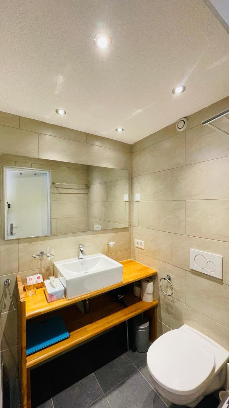 Deluxe Double or Twin Room with Mountain View