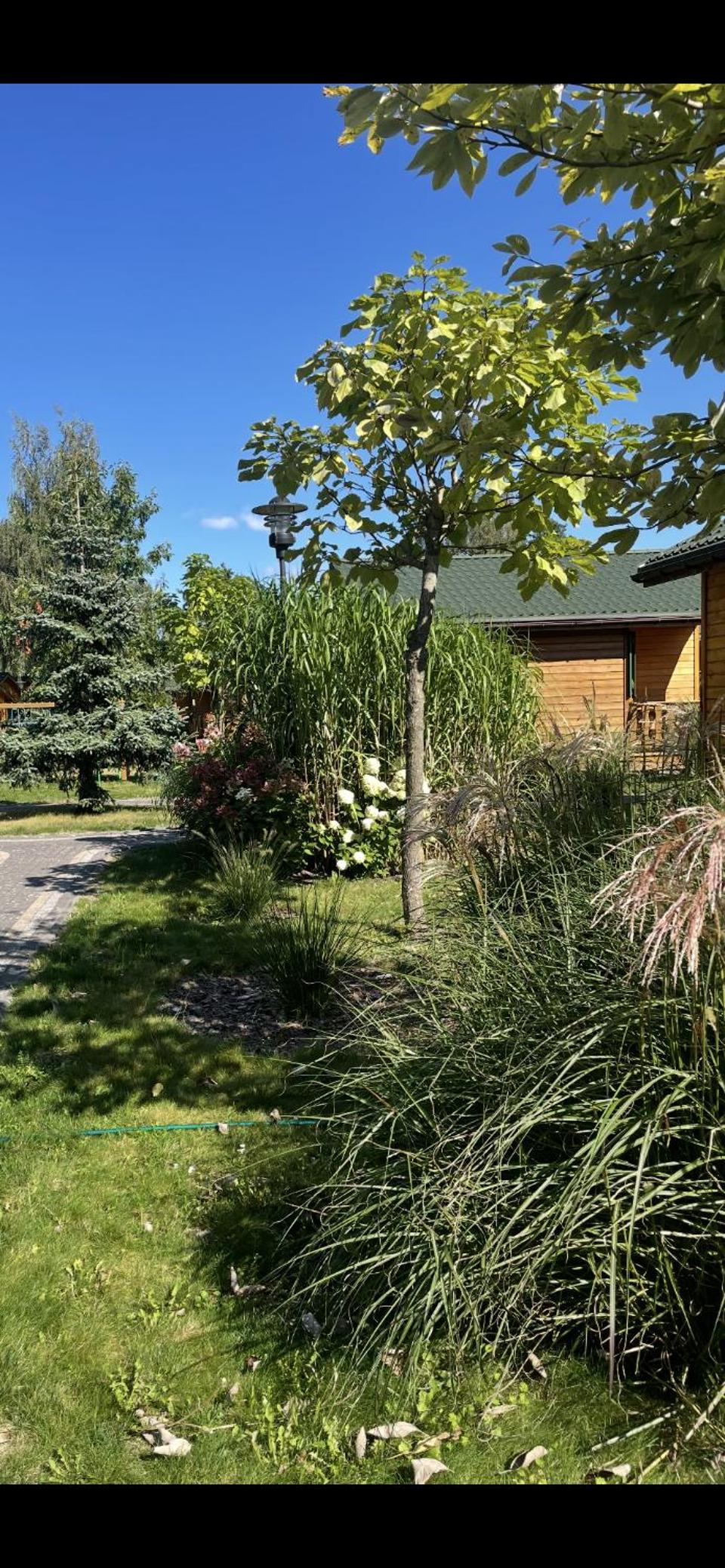 One-Bedroom Chalet photo 2