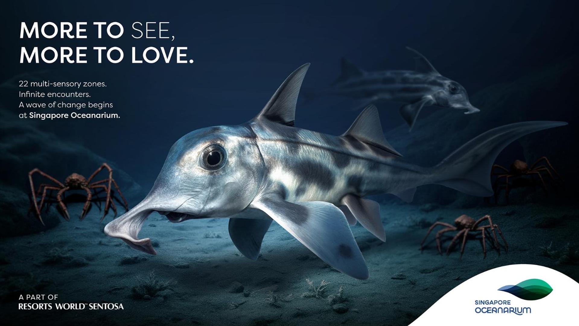 3D2N Seas The Day Package - Deluxe Room with complimentary One-Day Tickets for 2 People to Singapore Oceanarium