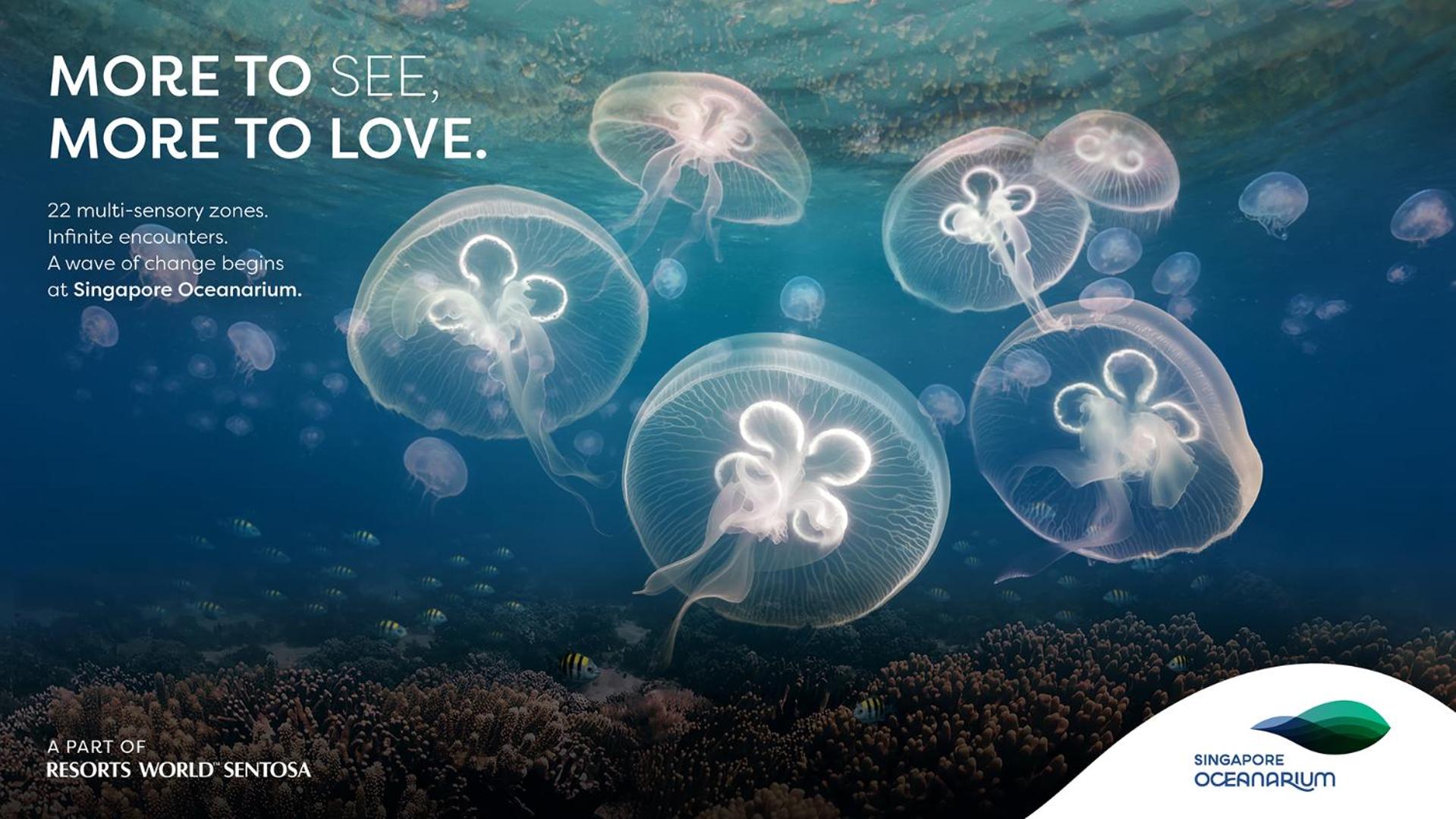 3D2N Seas The Day Package - Deluxe Room with complimentary One-Day Tickets for 2 People to Singapore Oceanarium