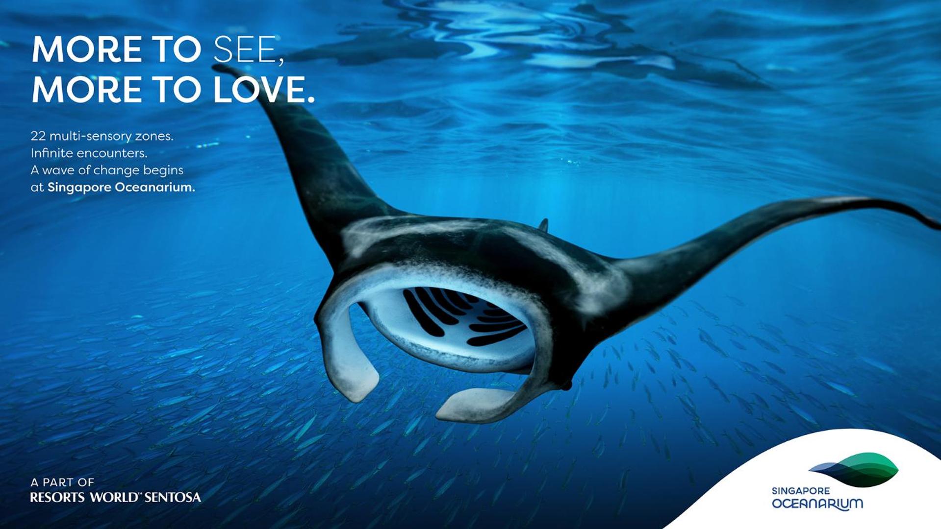 3D2N Seas The Day Package - Deluxe Room with complimentary One-Day Tickets for 2 People to Singapore Oceanarium