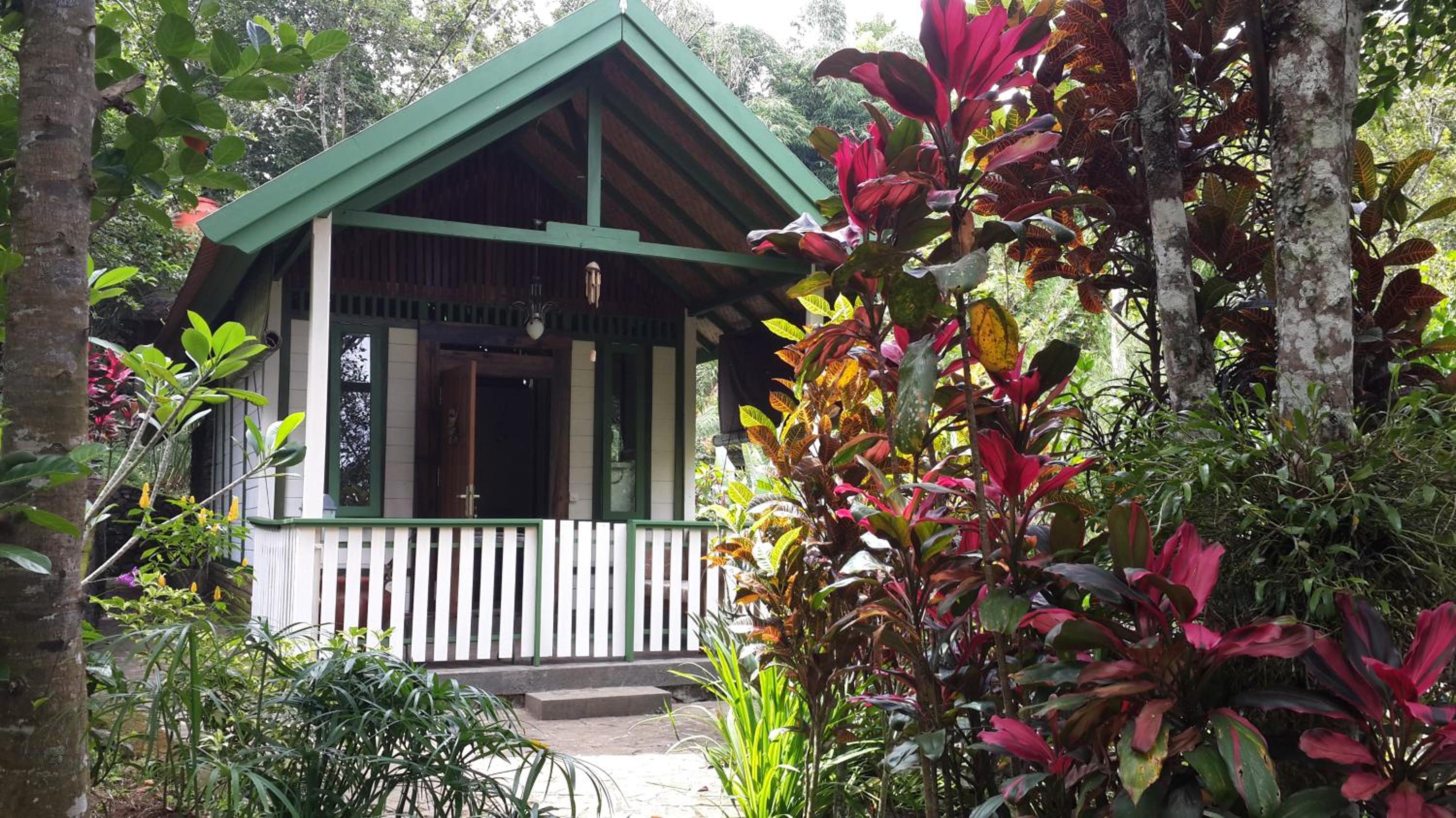 Bungalow - Photo 4