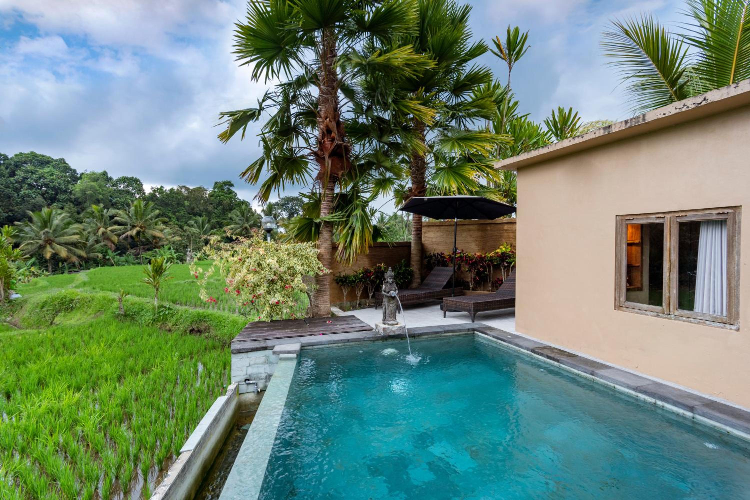 Rice Field View Private Pool Villa With Benefits