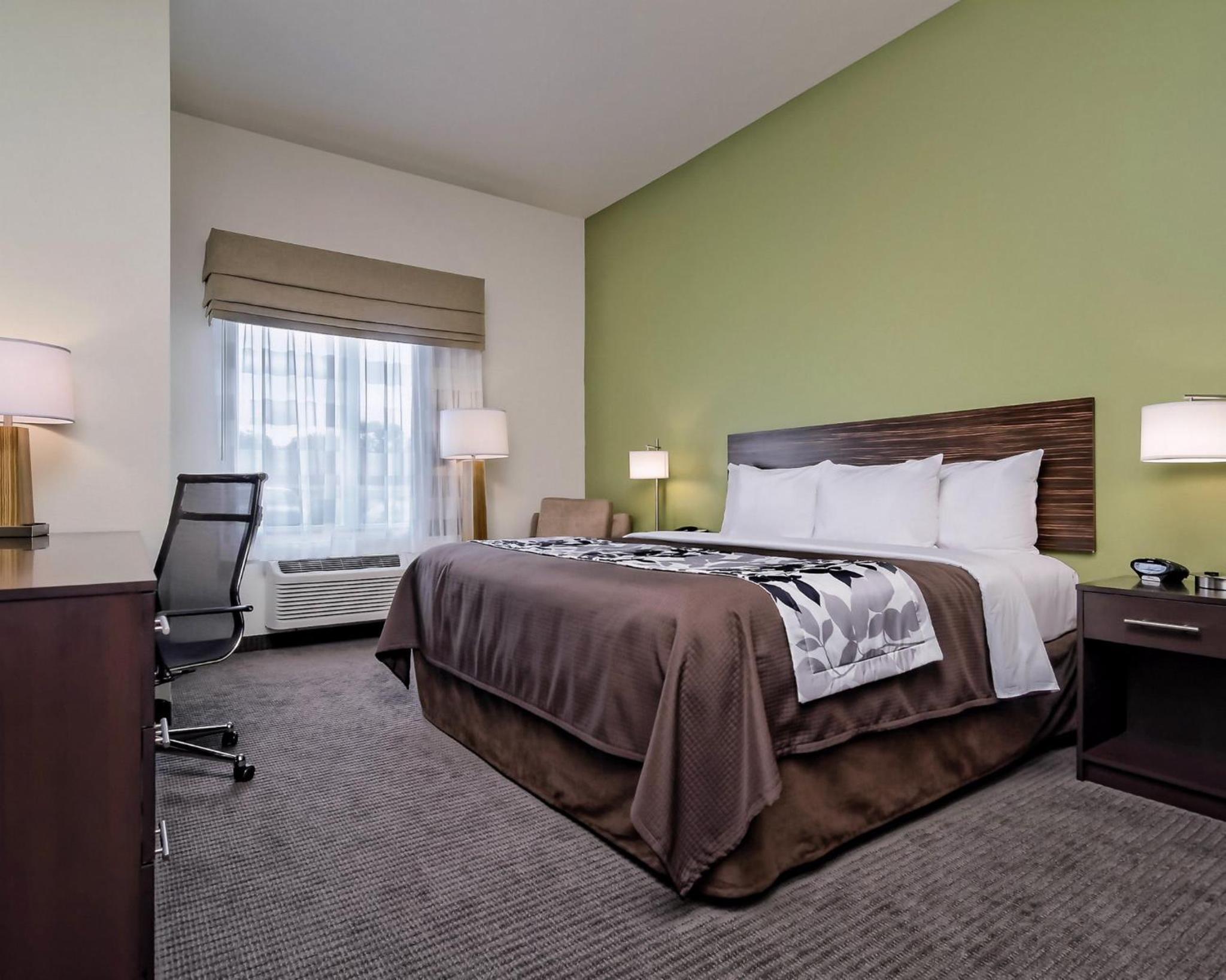 King Suite - Non-Smoking photo 3
