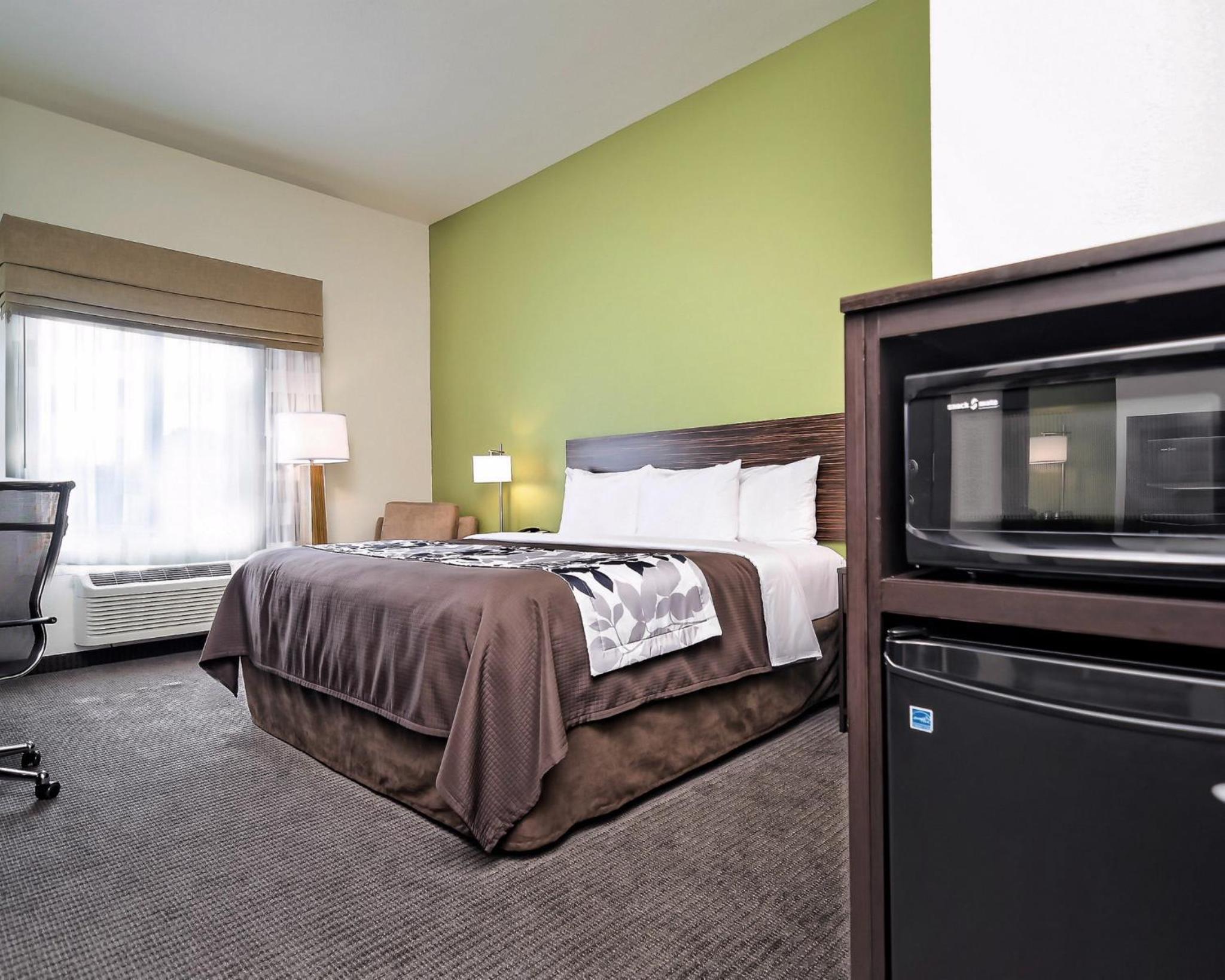 King Suite - Non-Smoking photo 2