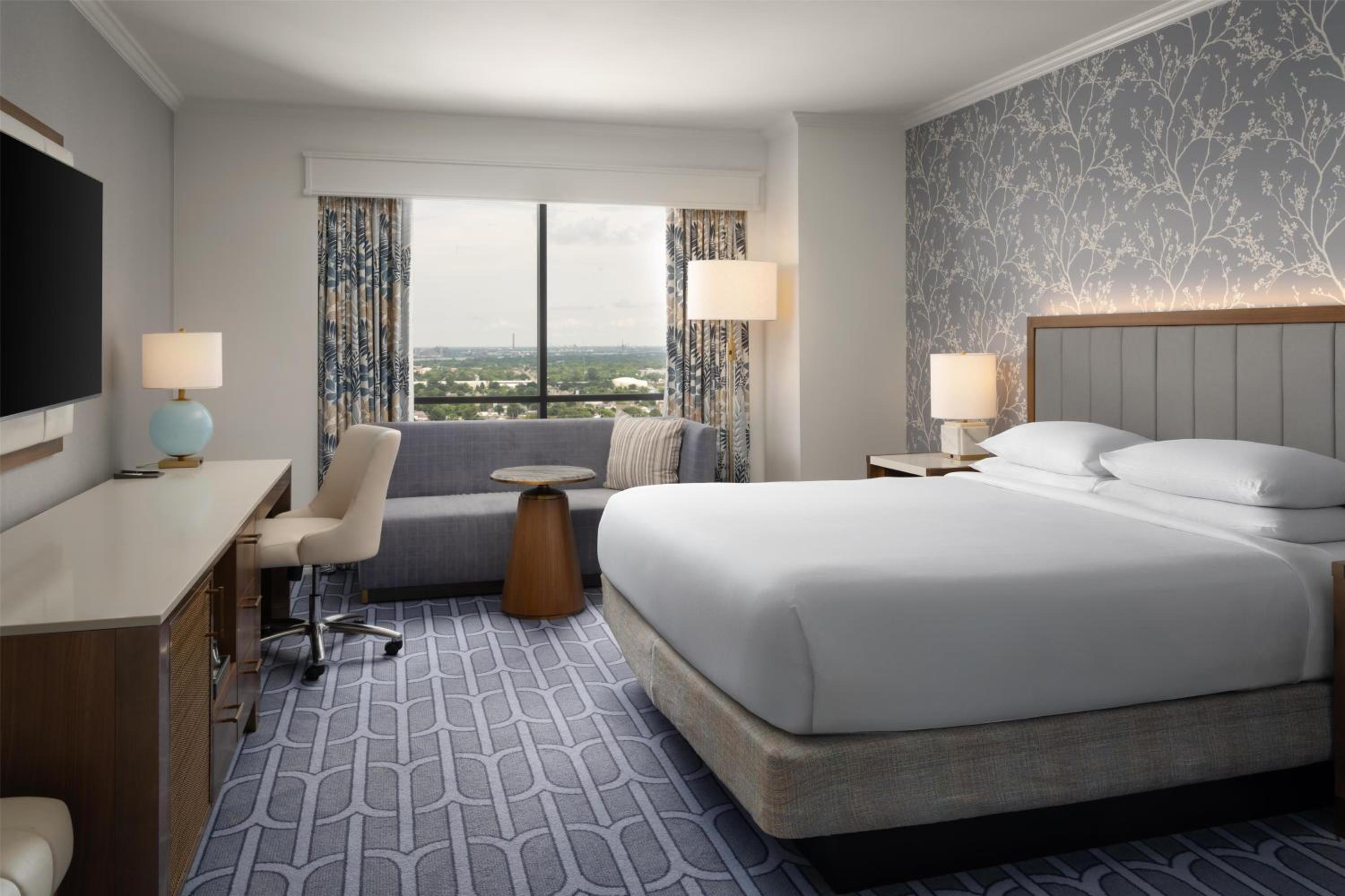 Premium King Room - Mobility Access and Bathtub - Photo 6