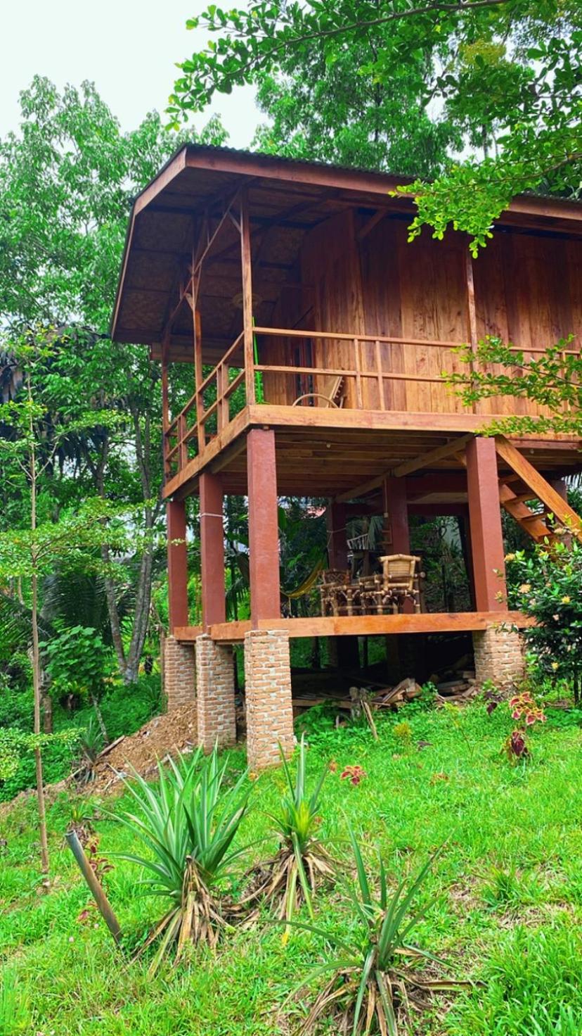 Double Room with Balcony photo 2