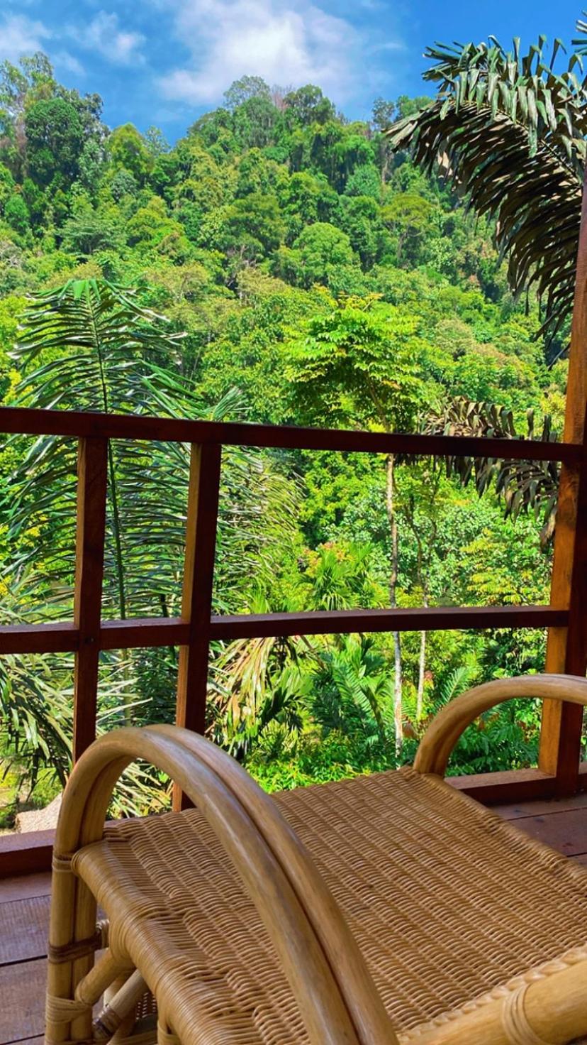 Double Room with Balcony photo 1