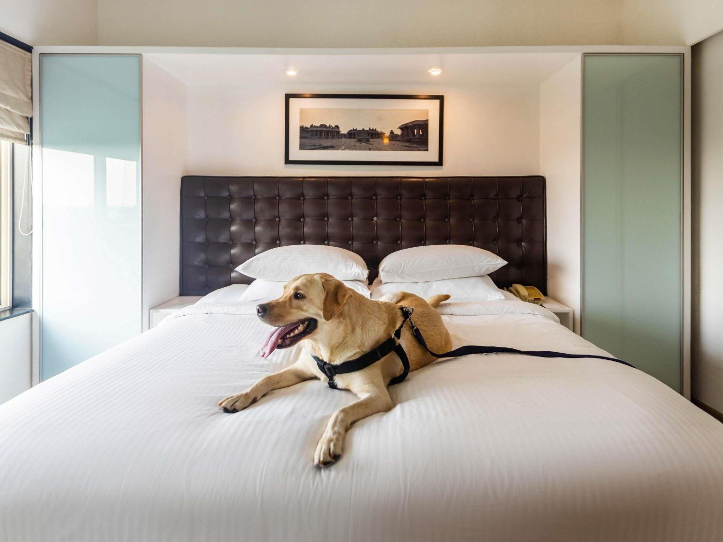 Executive Suite with Balcony with 20% discount on food and soft beverages and spa and Happy Hour 1+1 at By the Blue - Photo 7