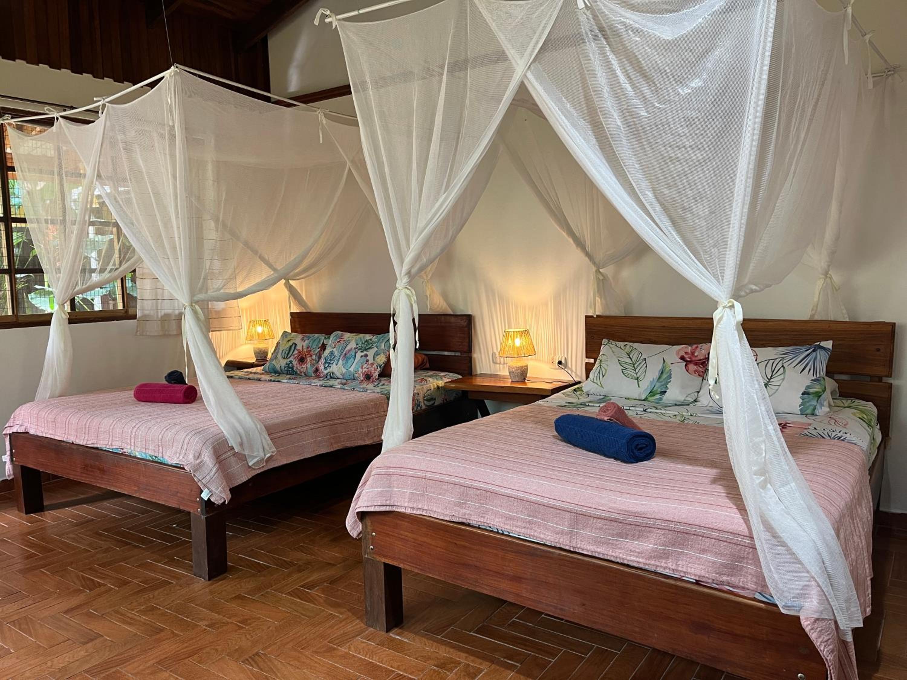 Superior Queen Room with Two Queen Beds photo 3