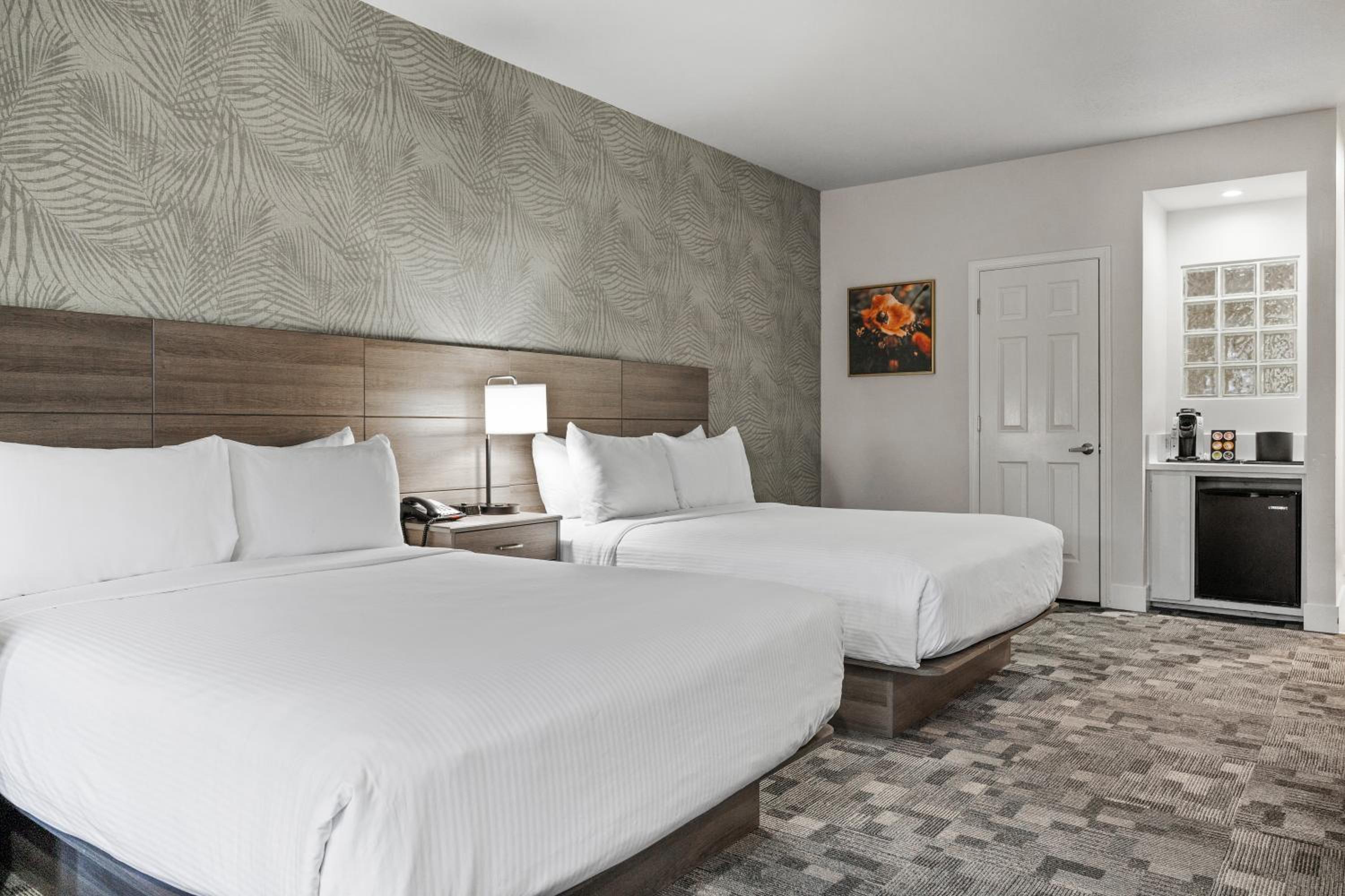 One Room Suite with Two Queen Beds and Sofa bed - Non Smoking