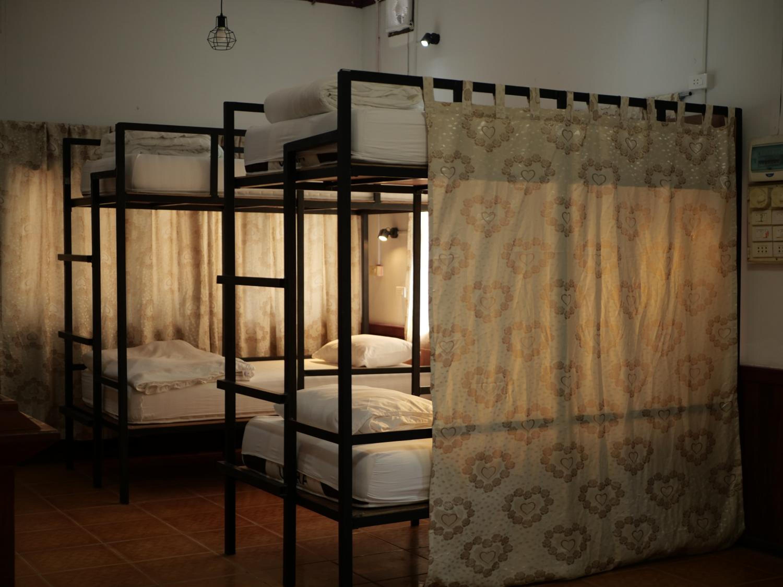 Bunk Bed in Mixed Dormitory Room photo 3