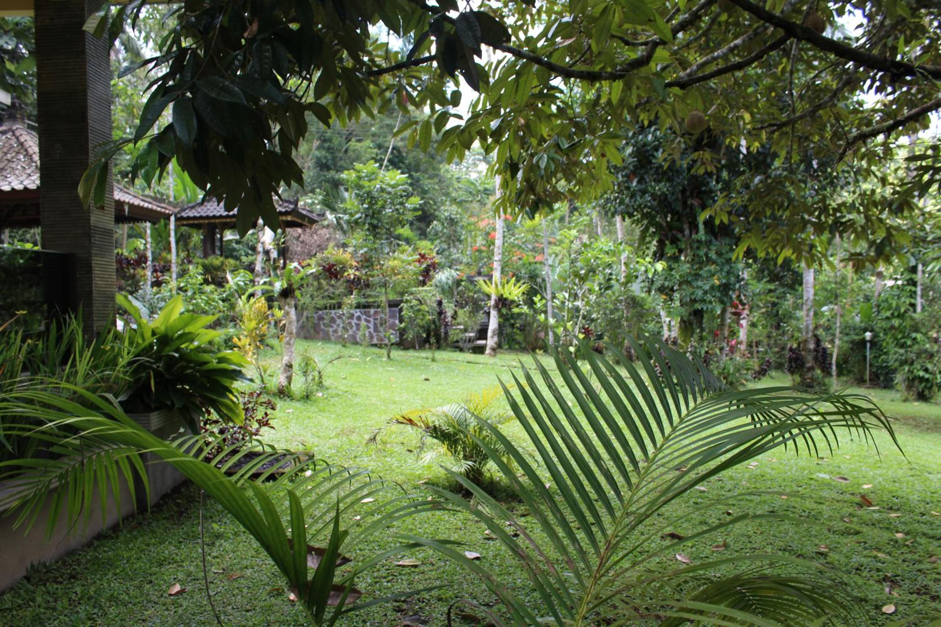 Family Bungalow - Photo 15