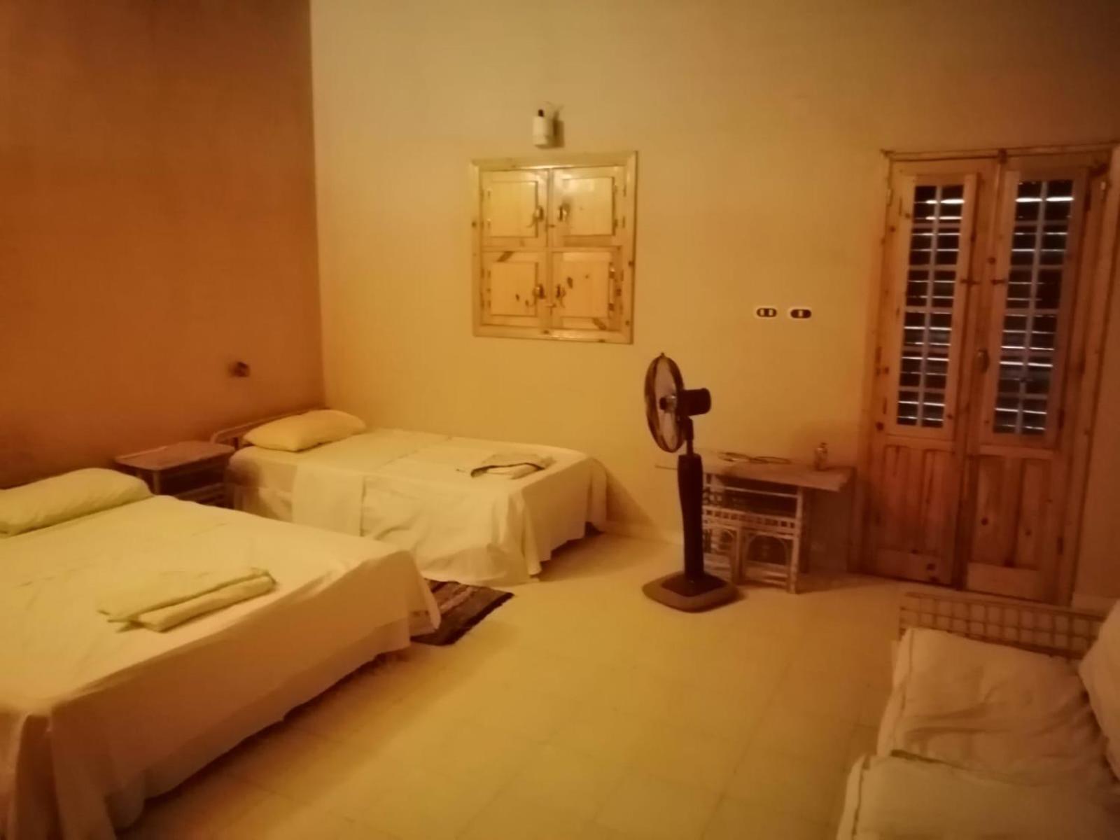 Double Room with Terrace photo 3