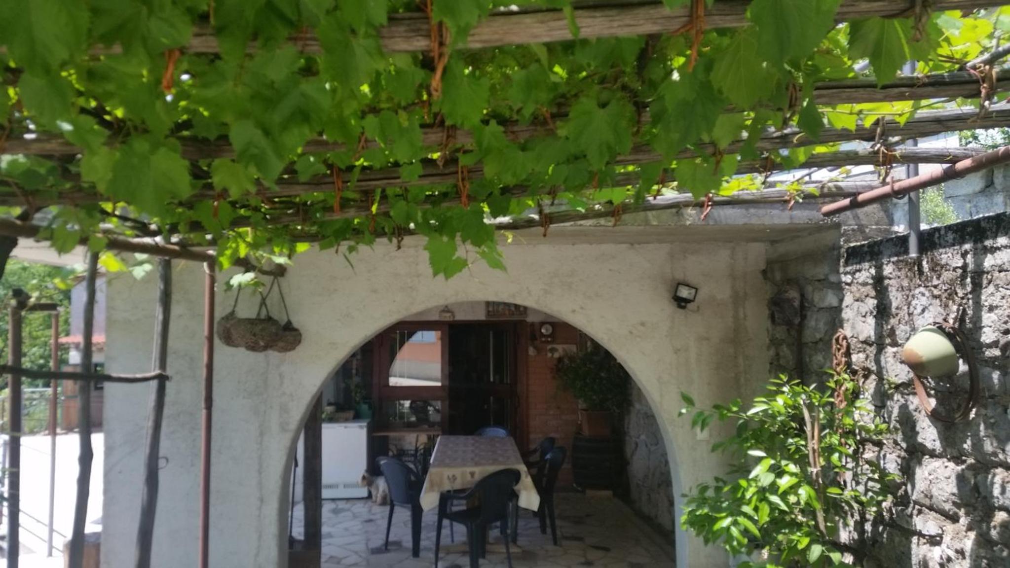 Apartment with Garden View - Ground Floor photo 3