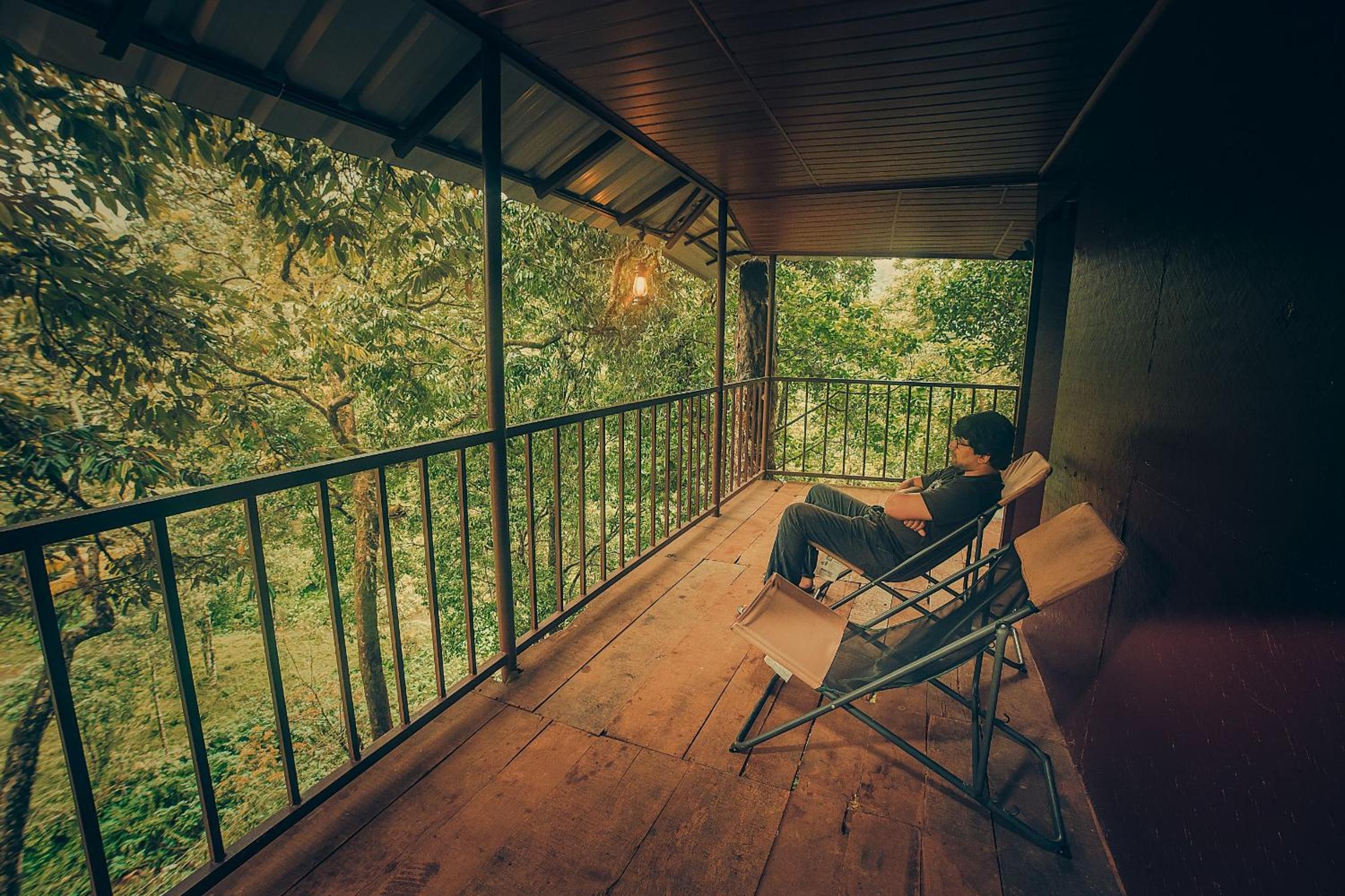 Tree House - Photo 8