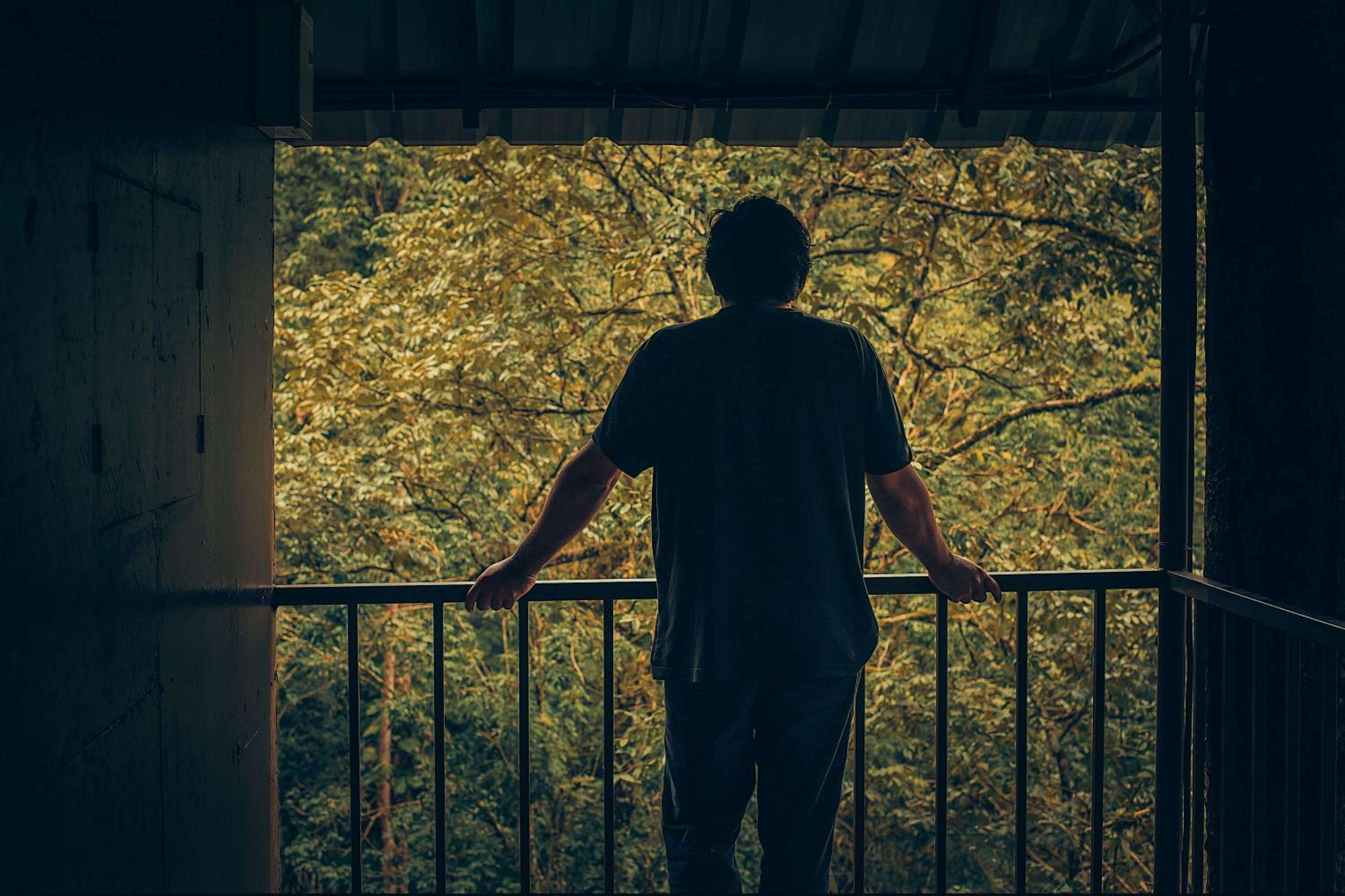 Tree House - Photo 11