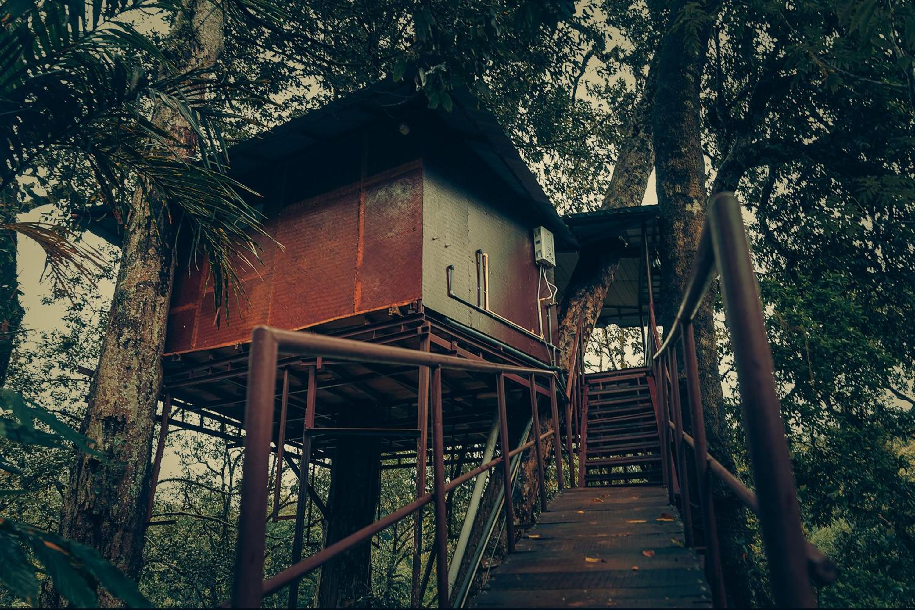 Tree House - Photo 7