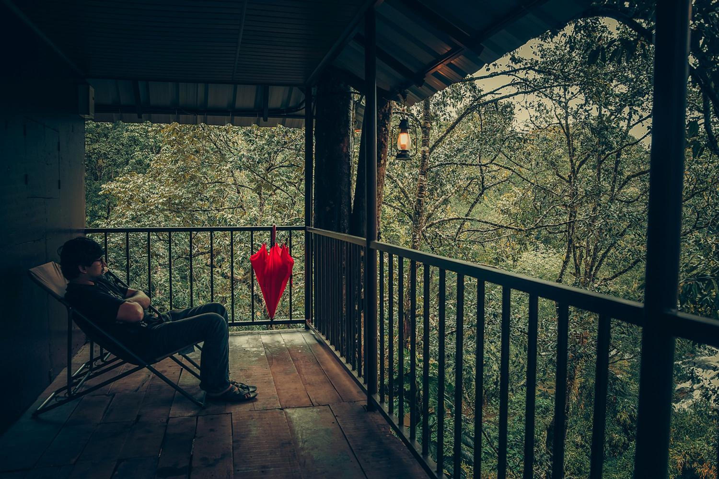 Tree House - Photo 13