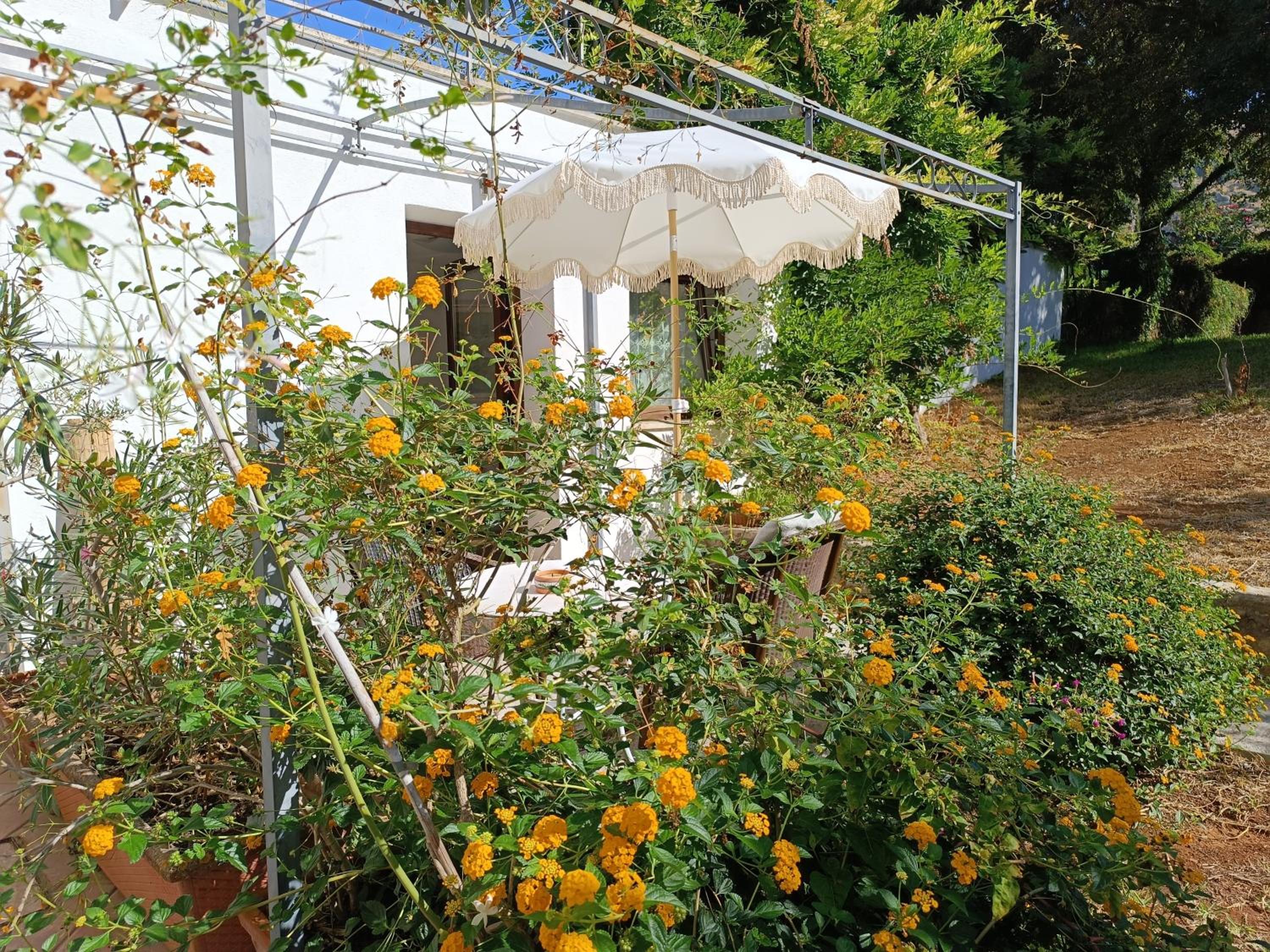 Deluxe One-Bedroom Apartment with Garden View photo 3