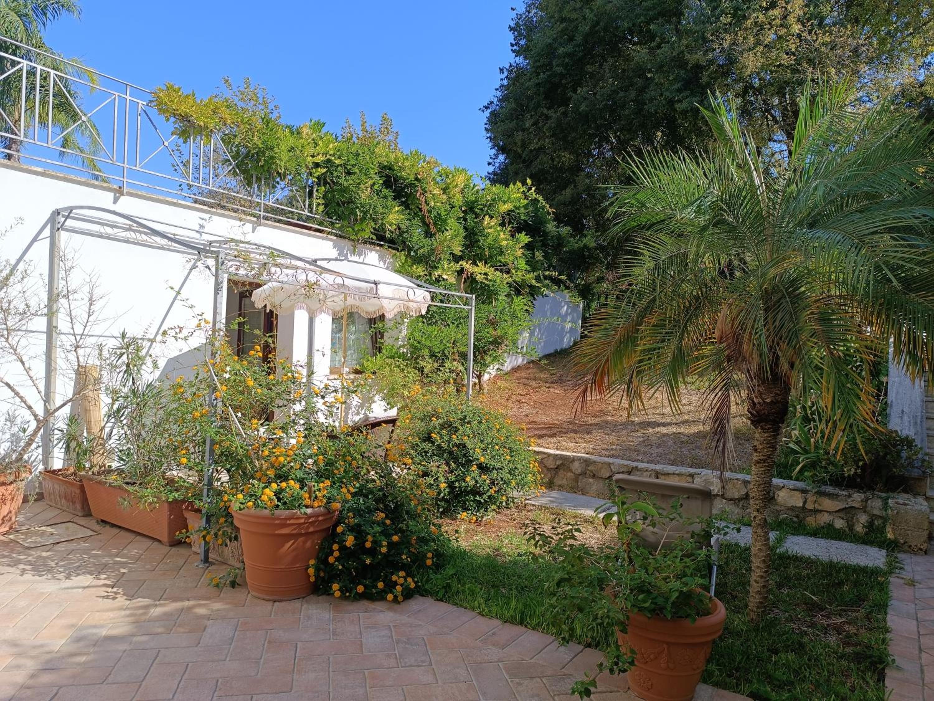 Deluxe One-Bedroom Apartment with Garden View photo 2