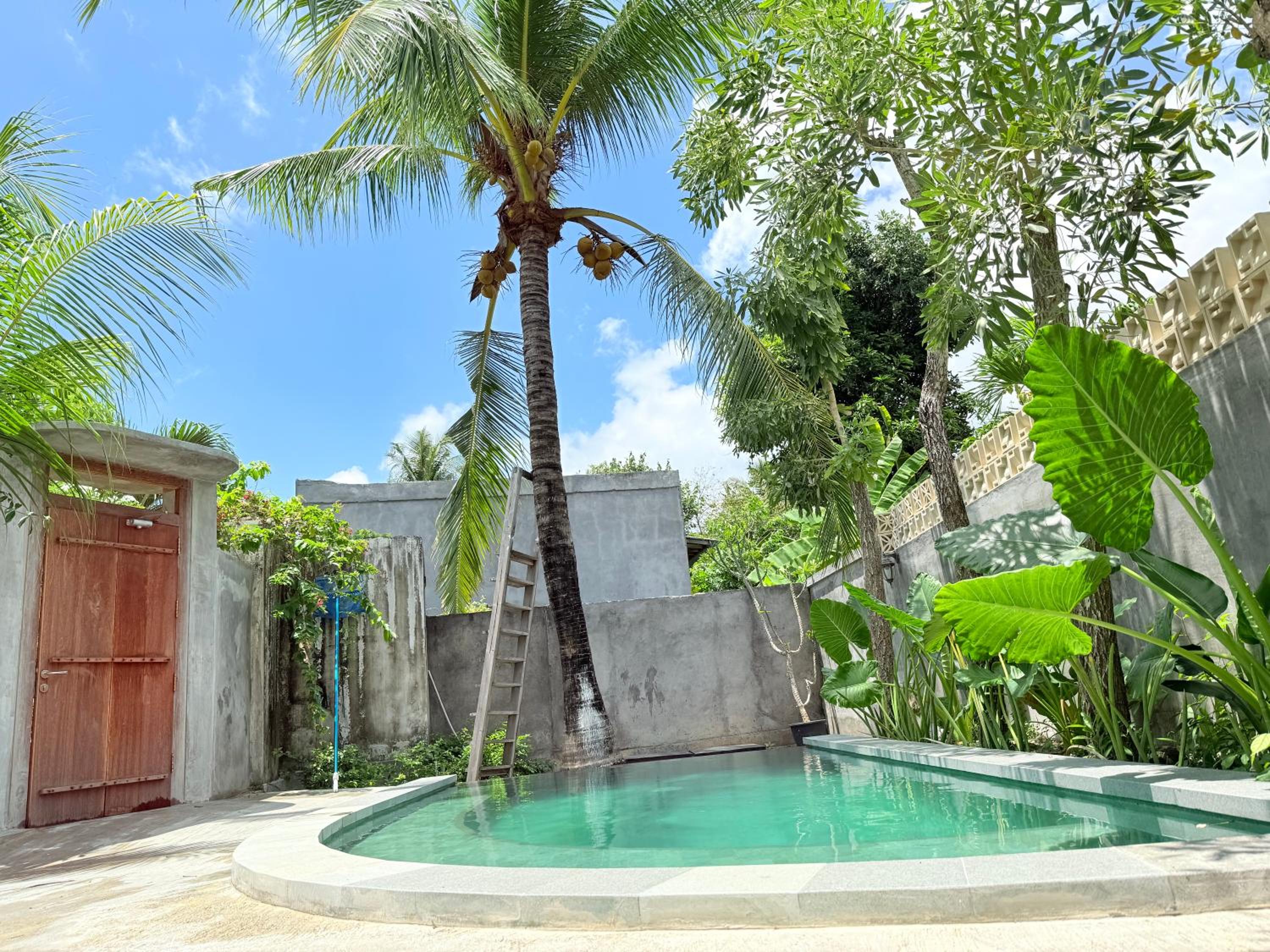 Standard Villa photo 3