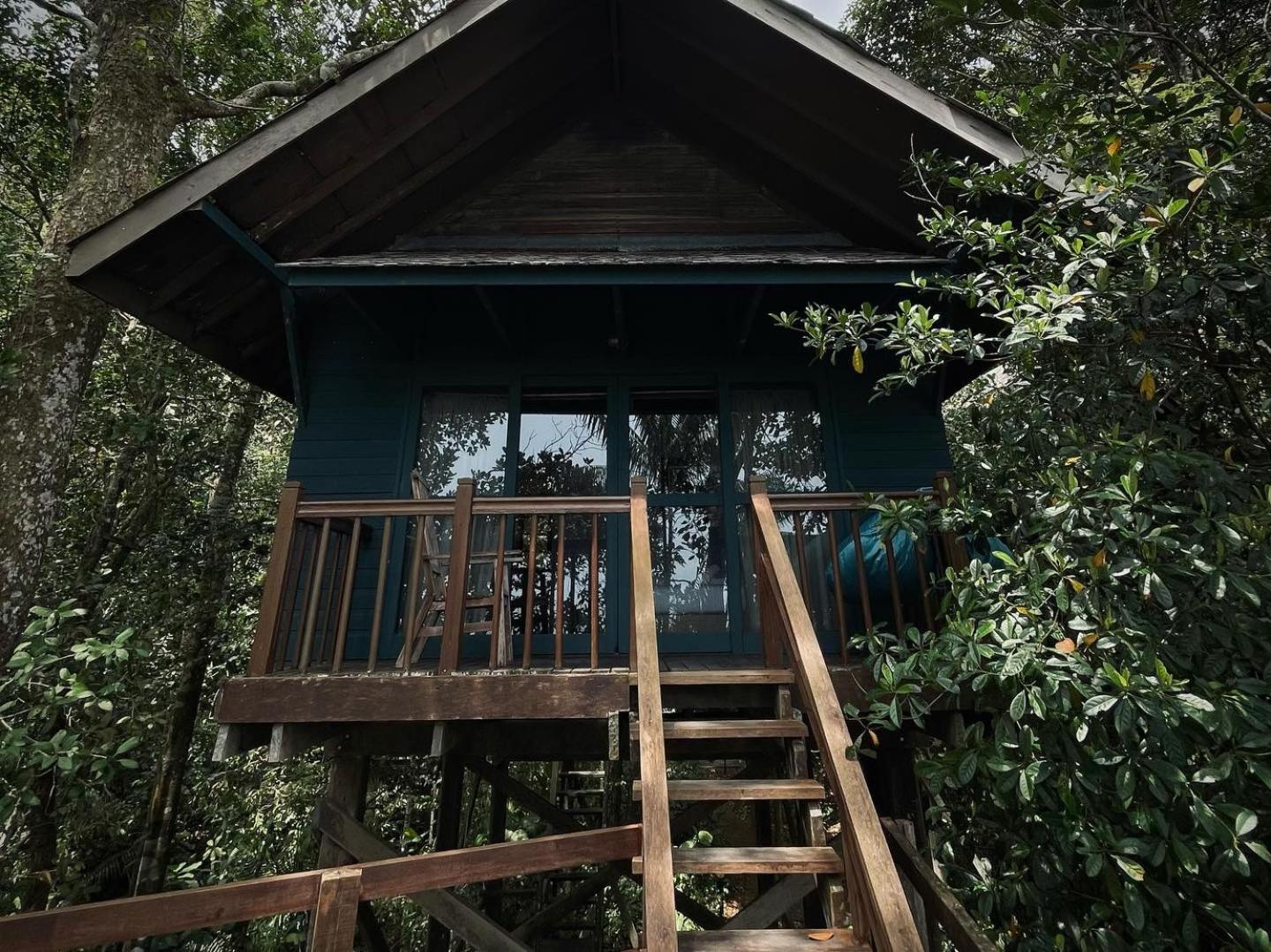 Classic Treehouse King Plus