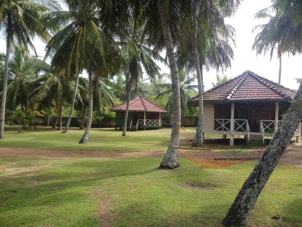Triple Room with Garden View photo 2