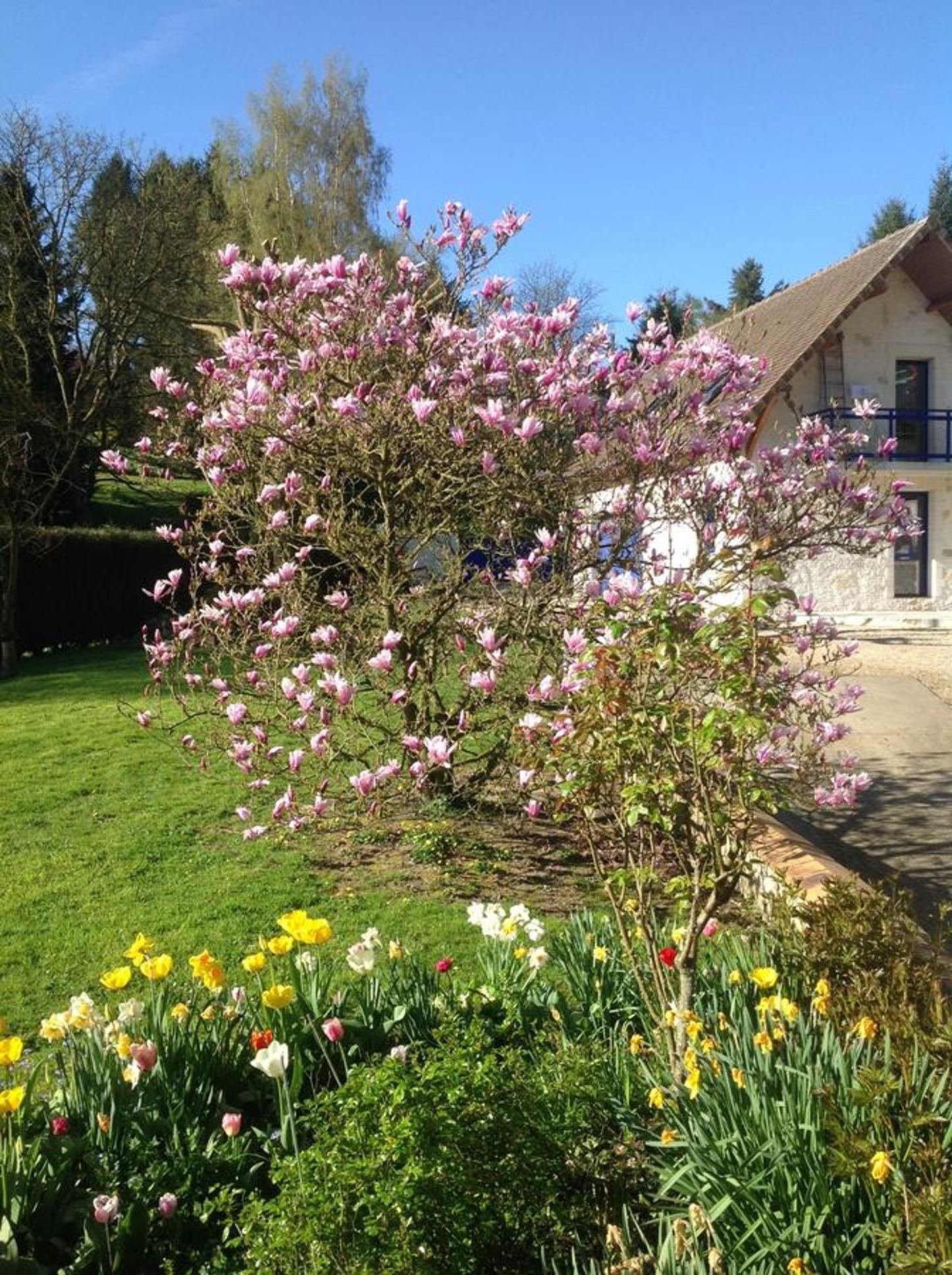Holiday Home - Photo 3
