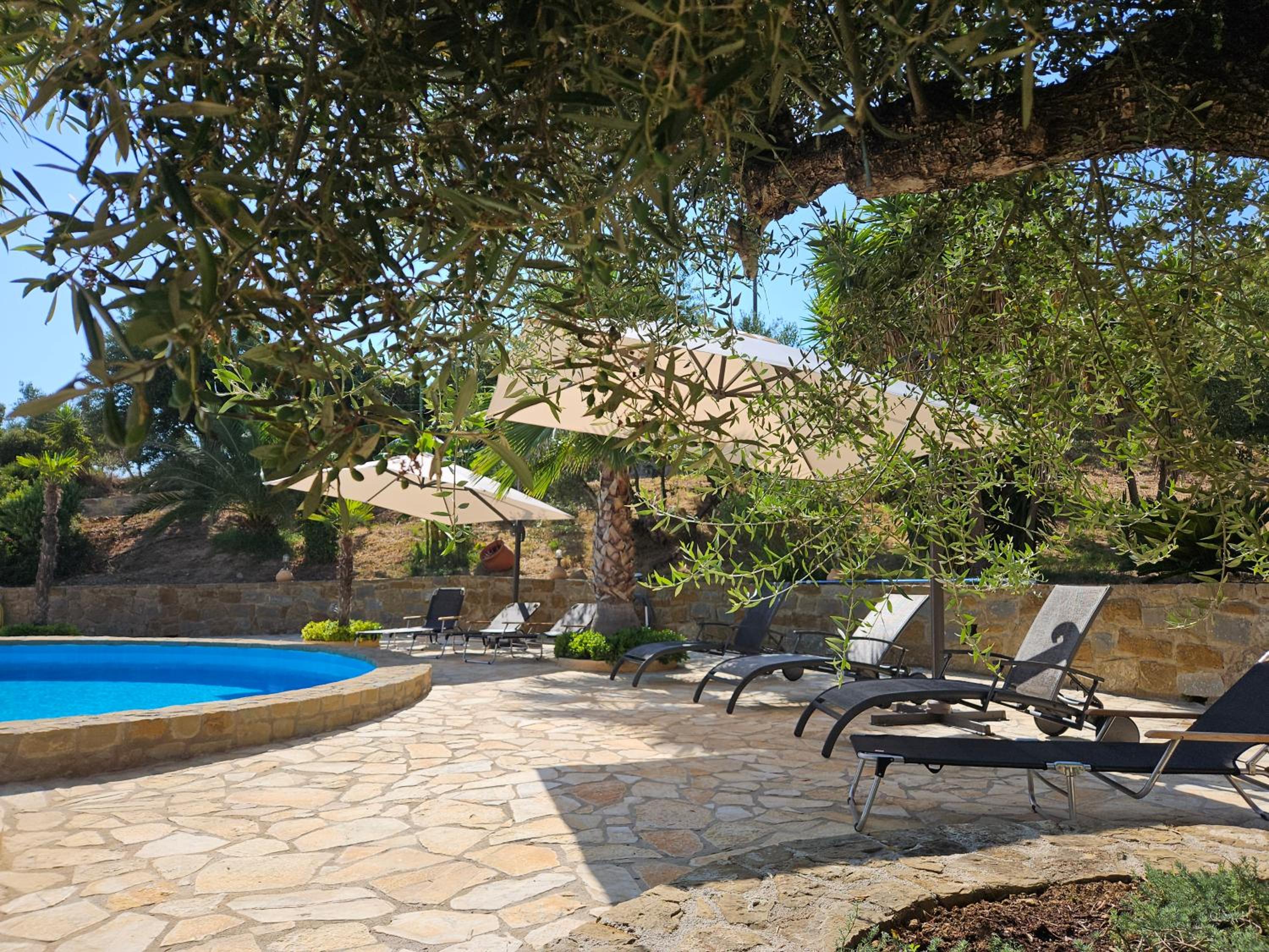 Vacation Home photo 3