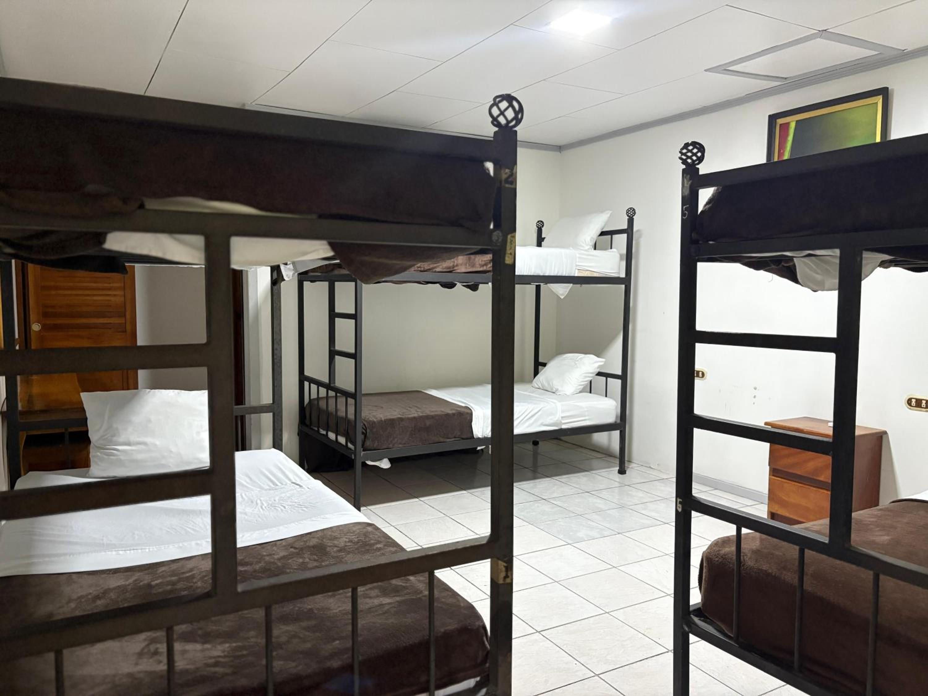 Bed in 4-Bed Mixed Dormitory Room