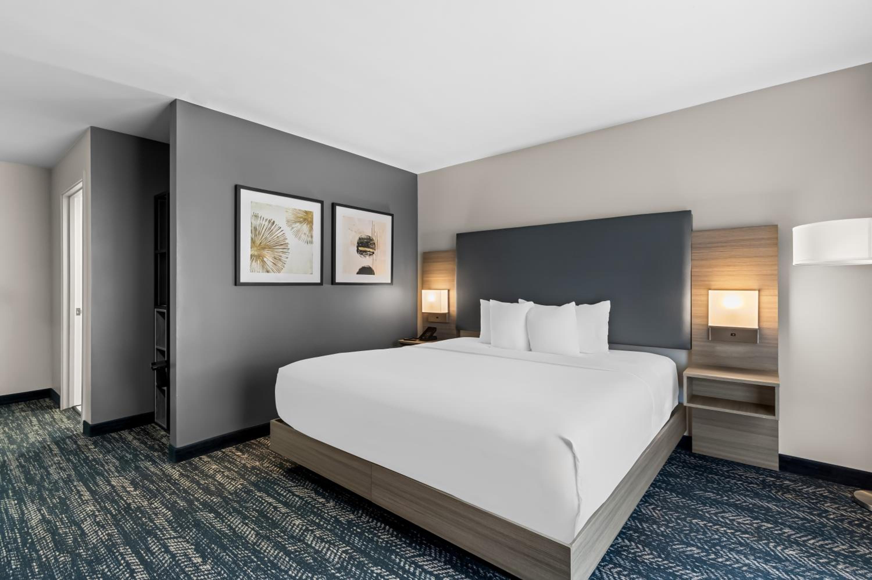 King Room with Tub and Pool View - Mobility and Hearing Access/Non-Smoking - Photo 6