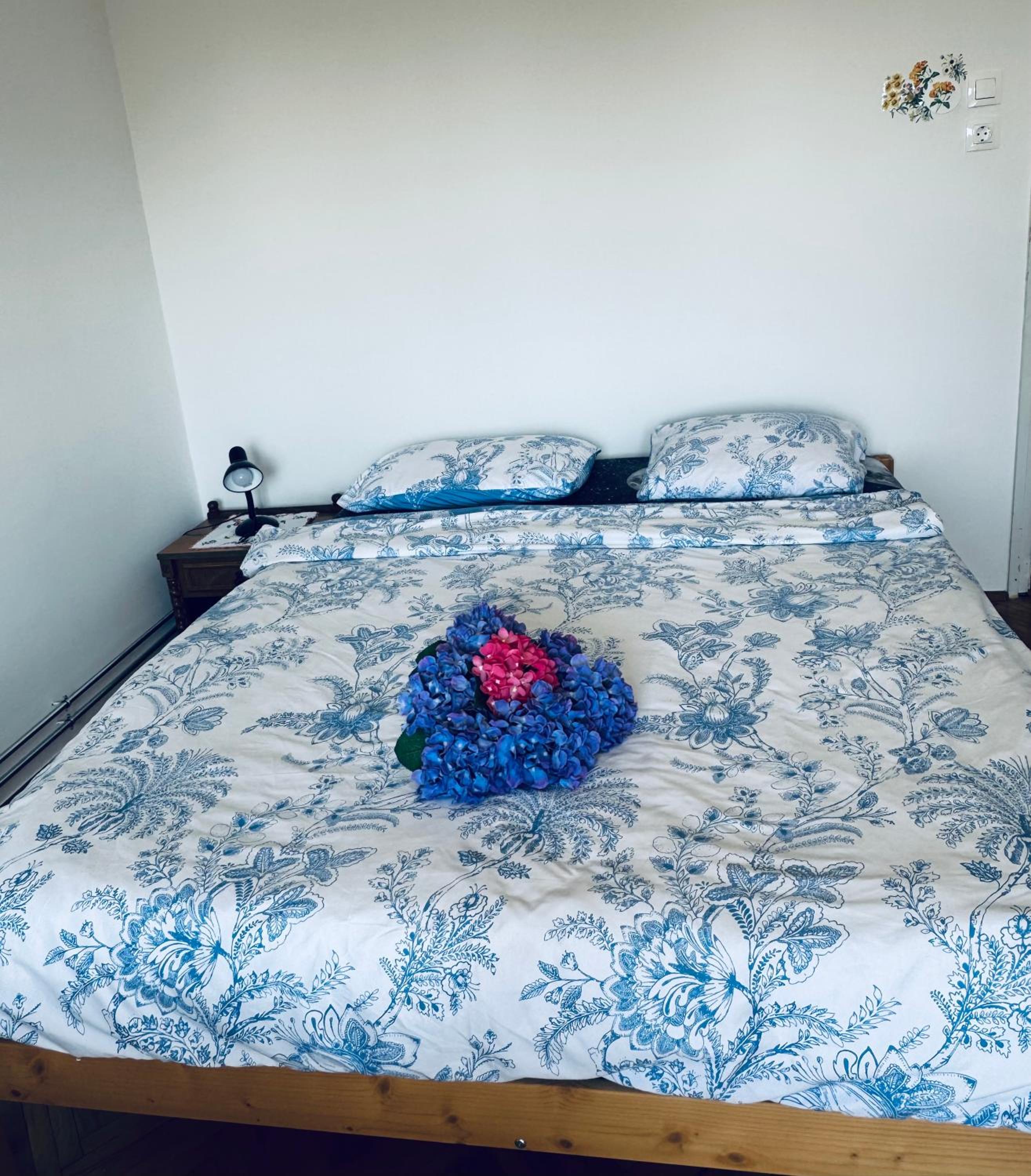 Double Room with Terrace photo 3