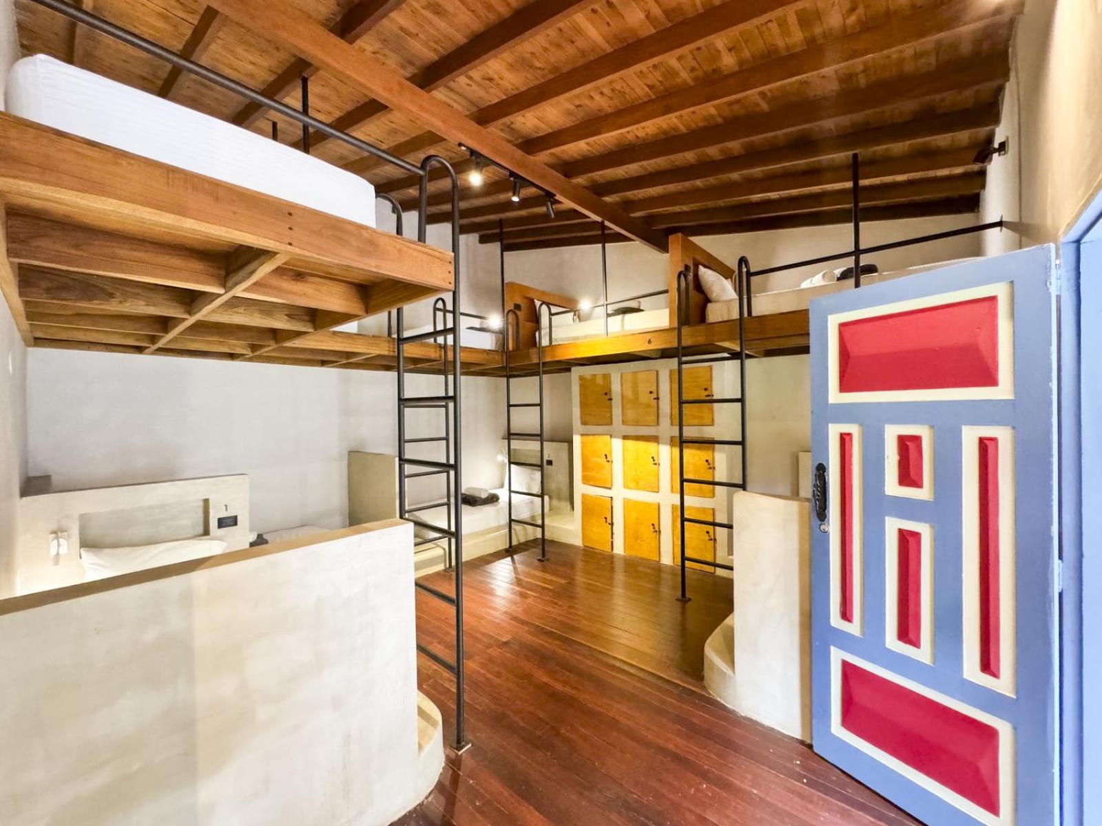 Single Bed in 10-Bed Dormitory Room