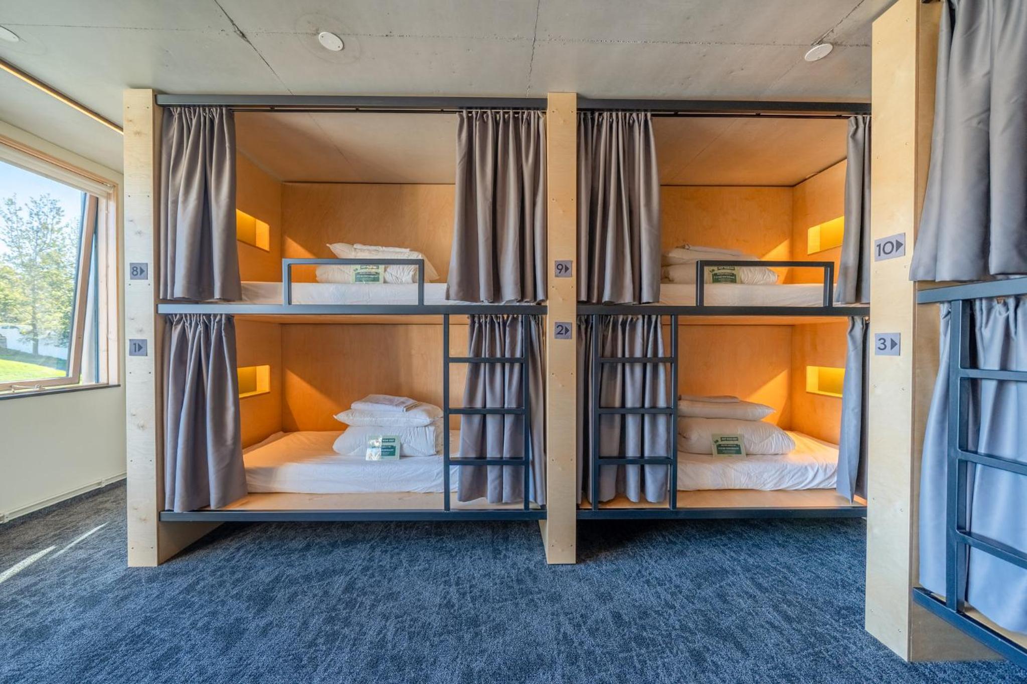 Single Bed in a 12-bed Mixed Deluxe Dorm with Shared Bathroom photo 3