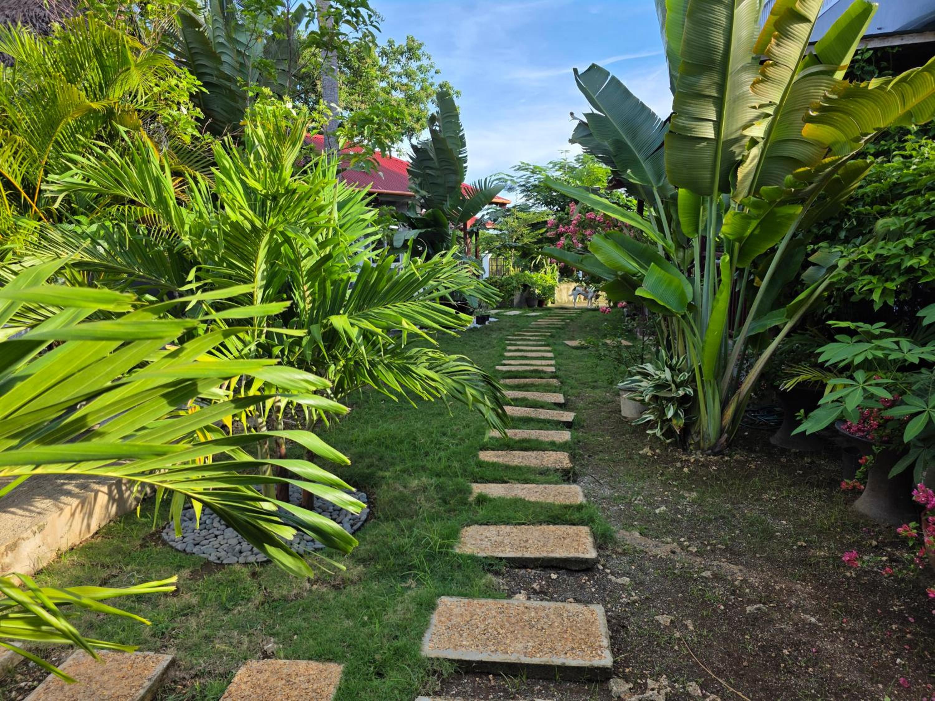 Deluxe Bungalow with Garden View - Annex photo 3
